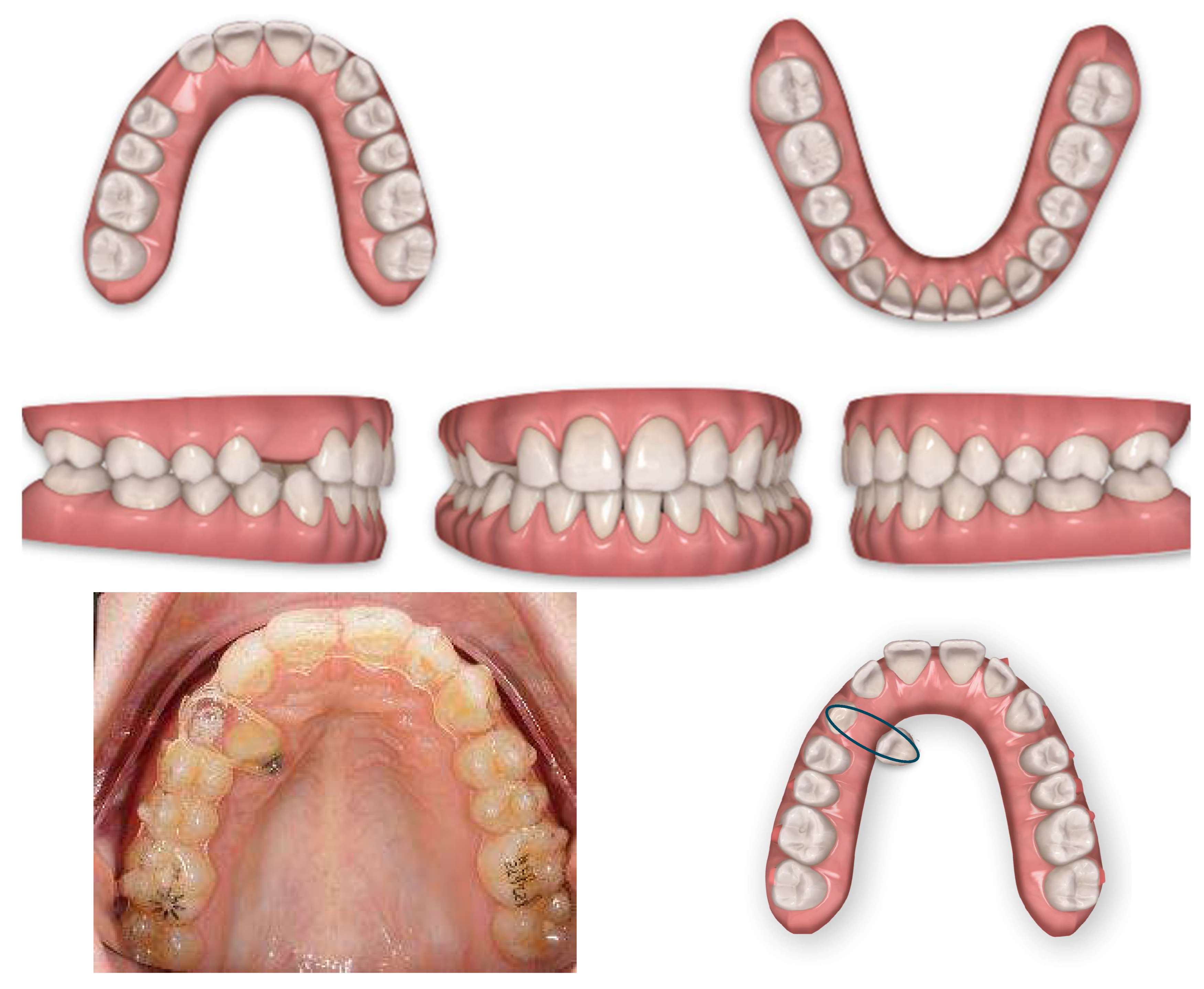 Applsci 13 06914 g005 Applsci 13 06914 g005