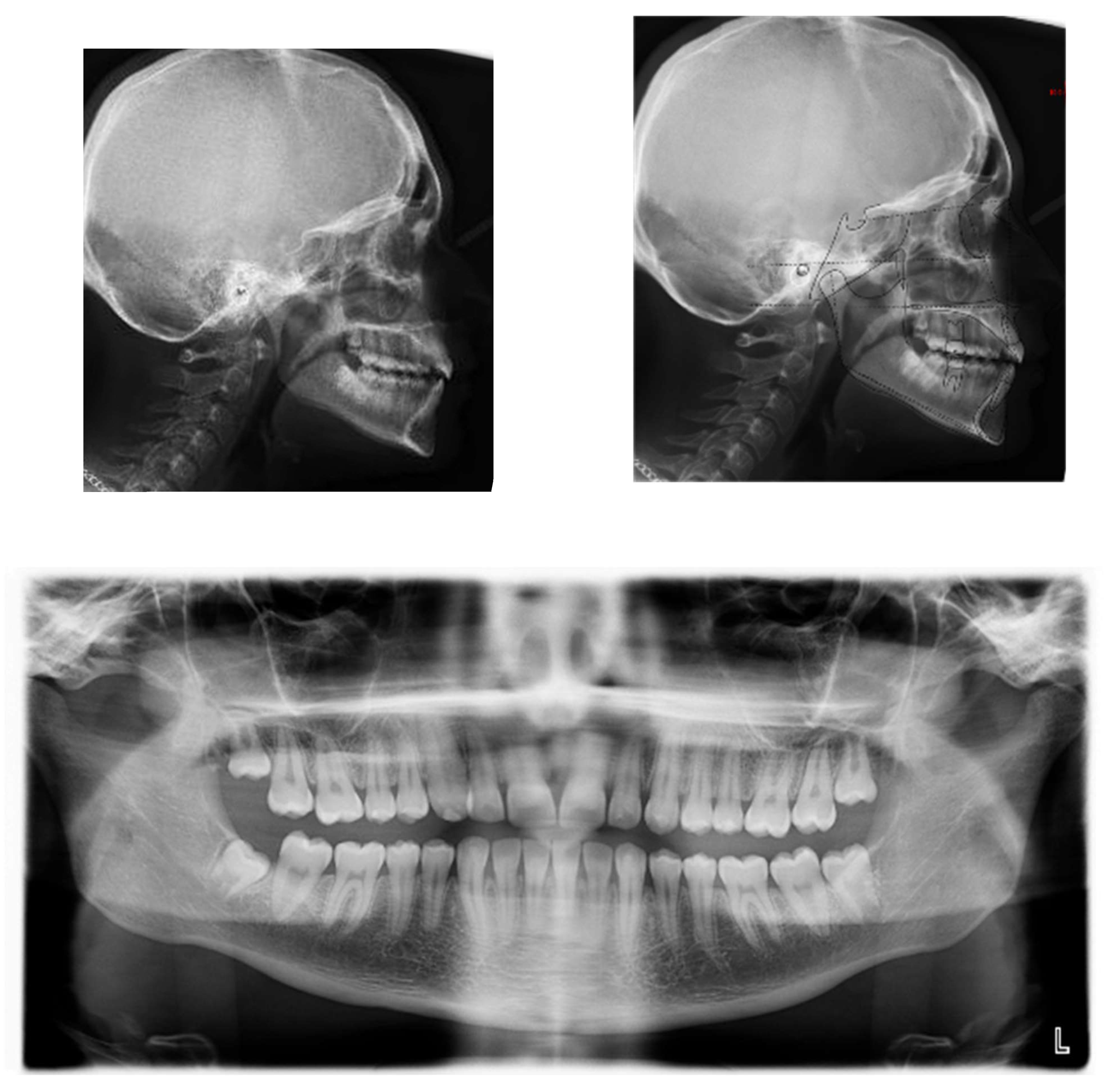 Applsci 13 06914 g010 Applsci 13 06914 g010