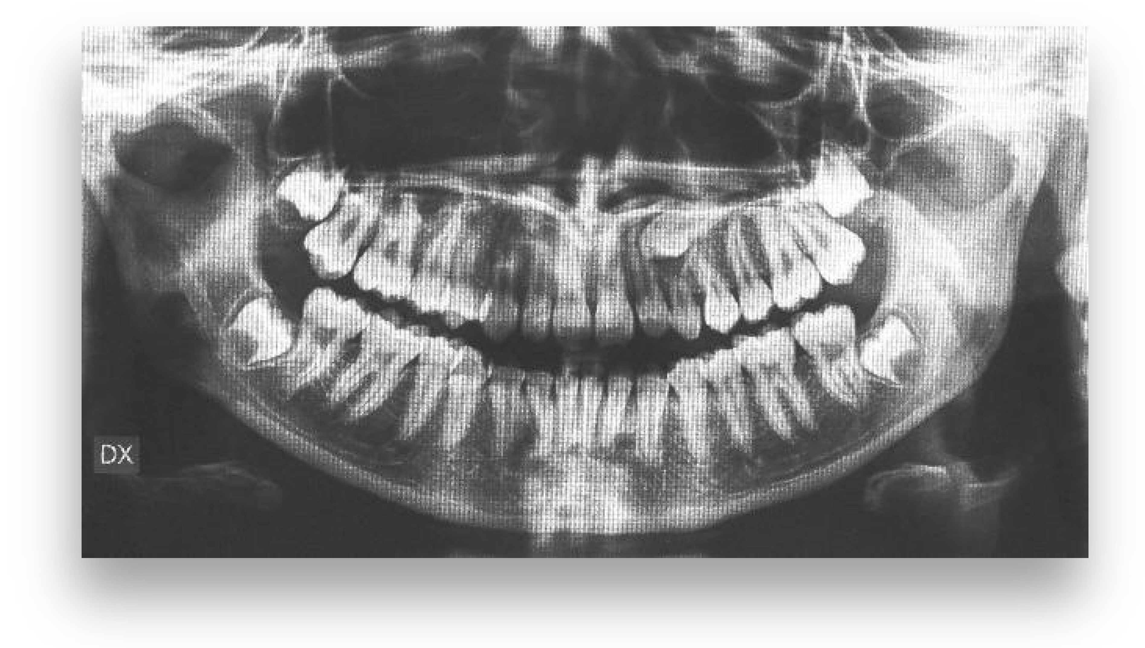 Applsci 13 06914 g011b Applsci 13 06914 g011b