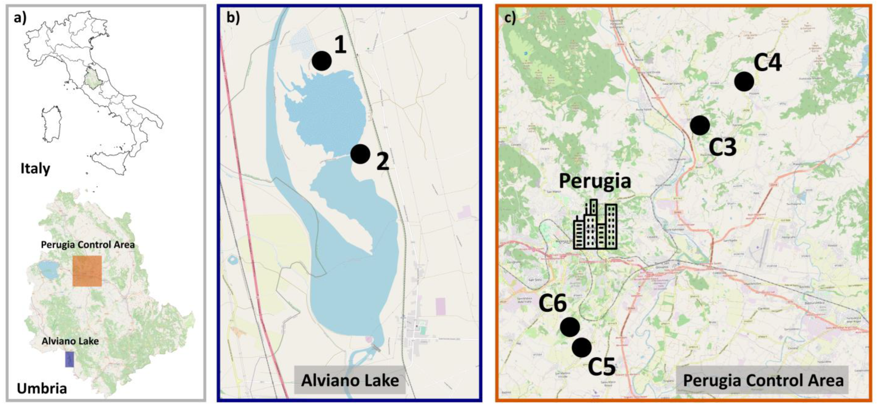 Applsci 13 06918 g001