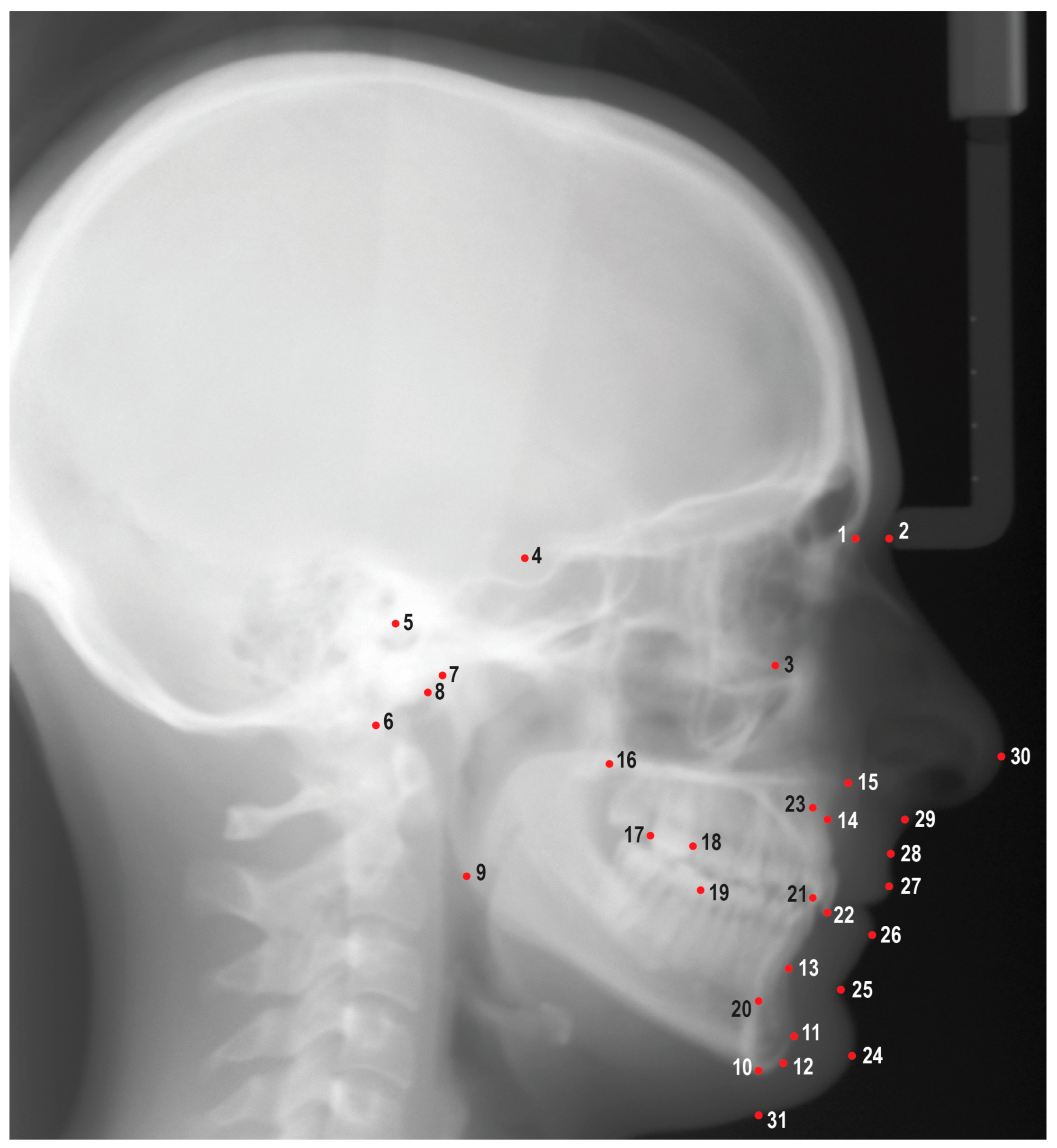 Applsci 13 06921 g001