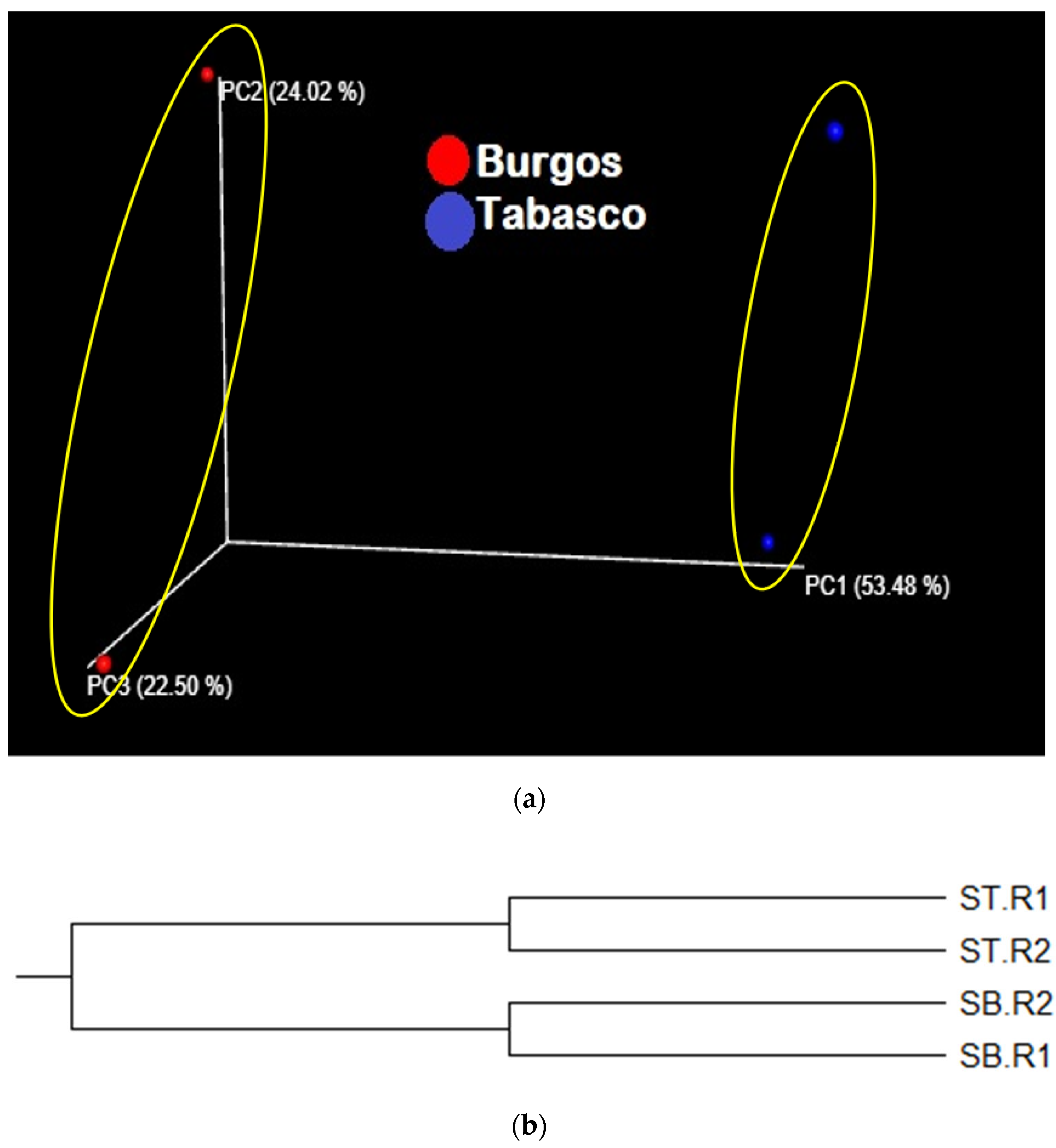 Applsci 13 06922 g007