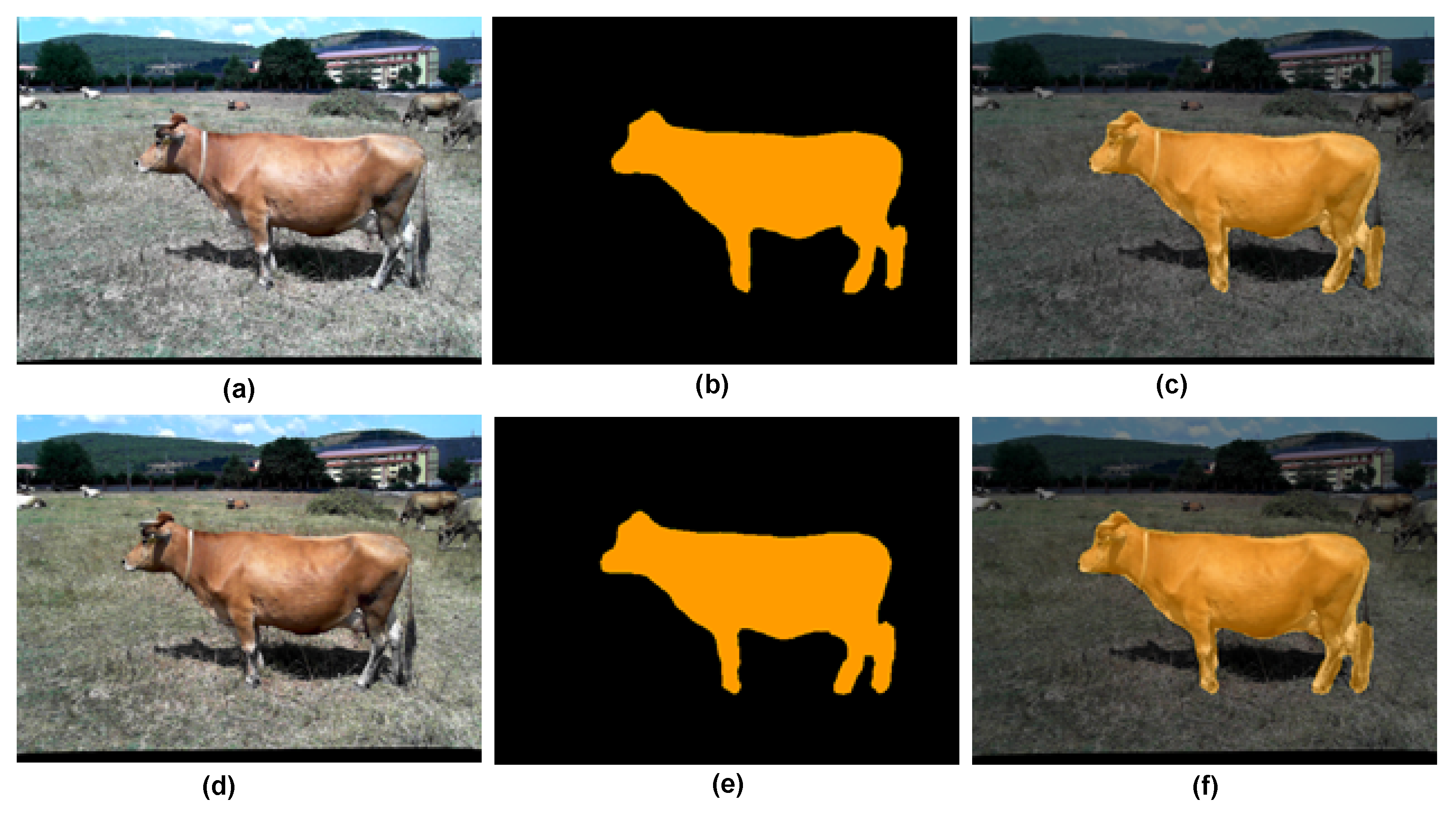 Applsci 13 06944 g007