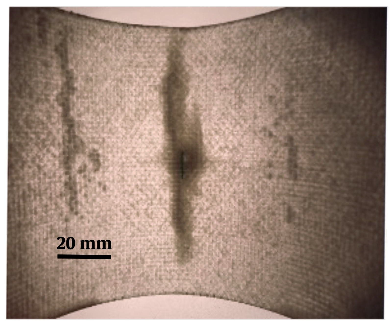 Applsci 13 06948 g008