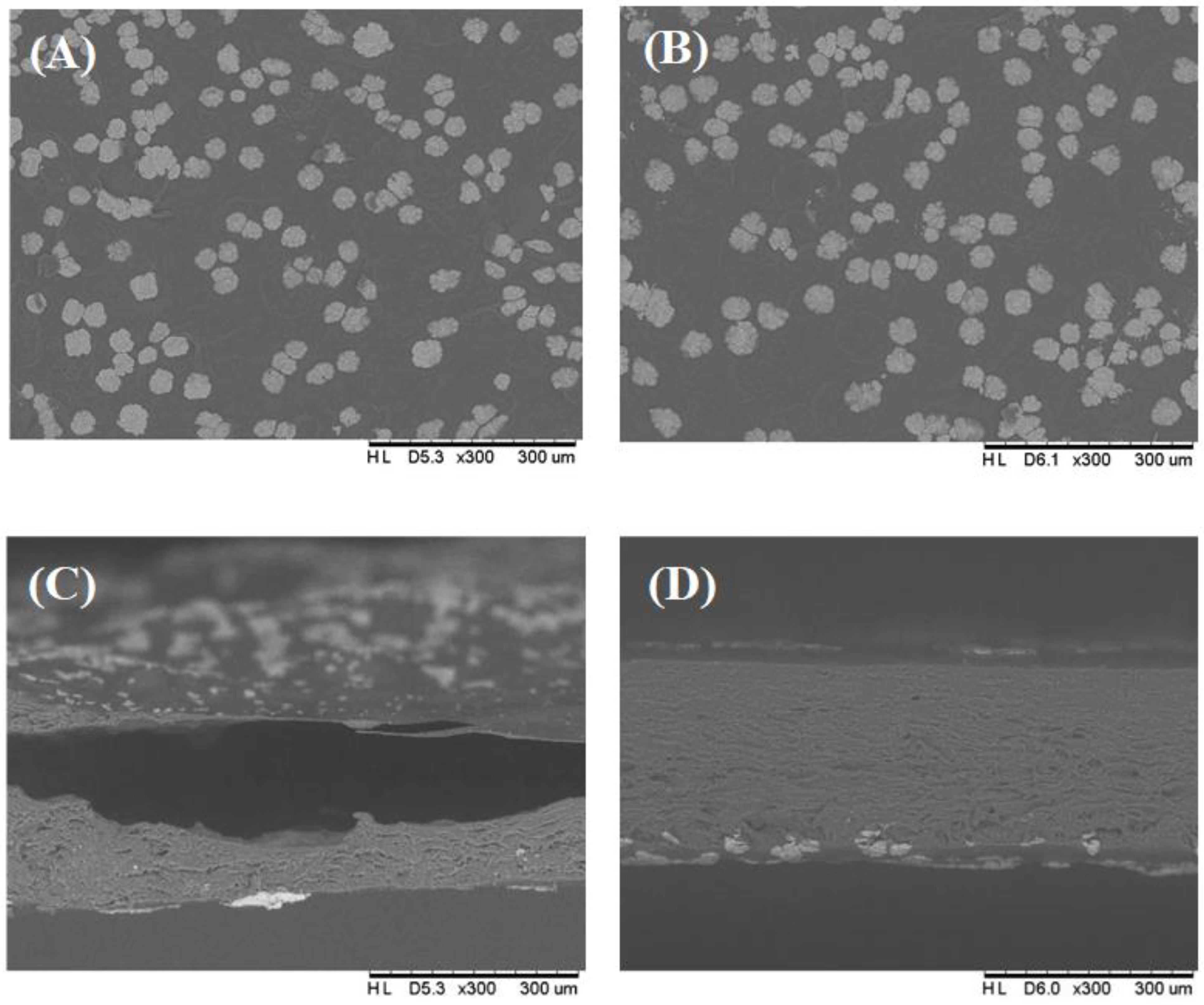 Applsci 13 06959 g005