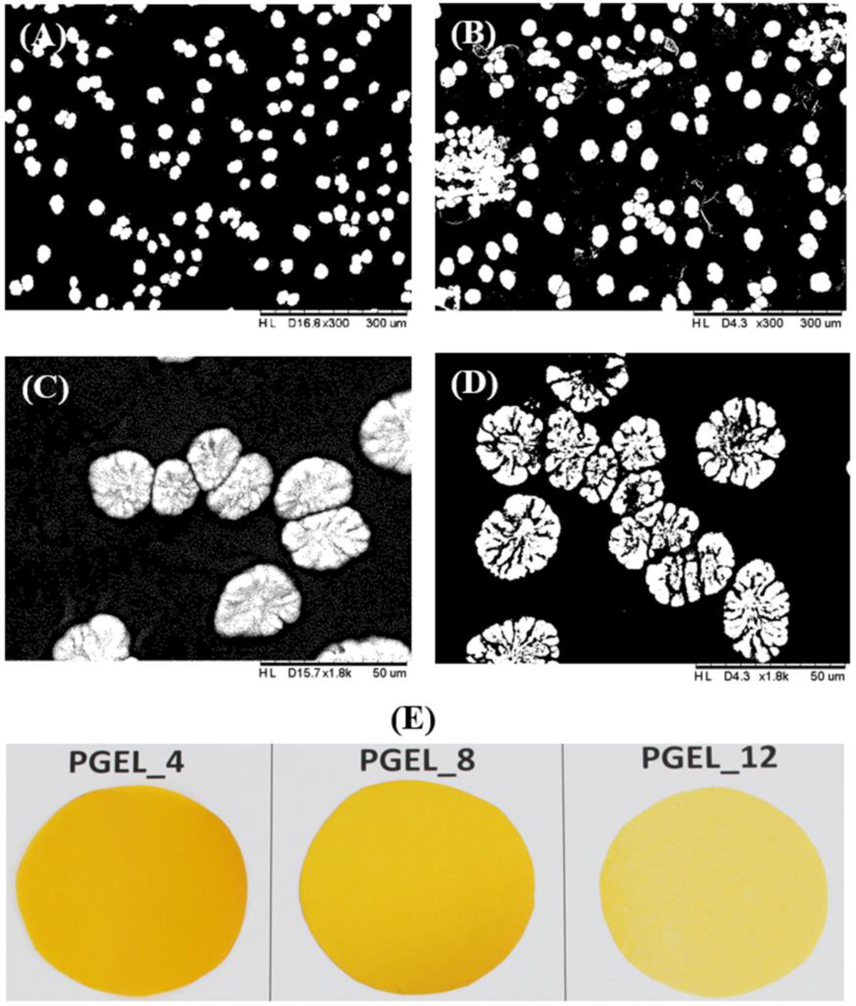 Applsci 13 06959 g006
