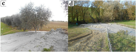 Applsci 13 06968 g001b