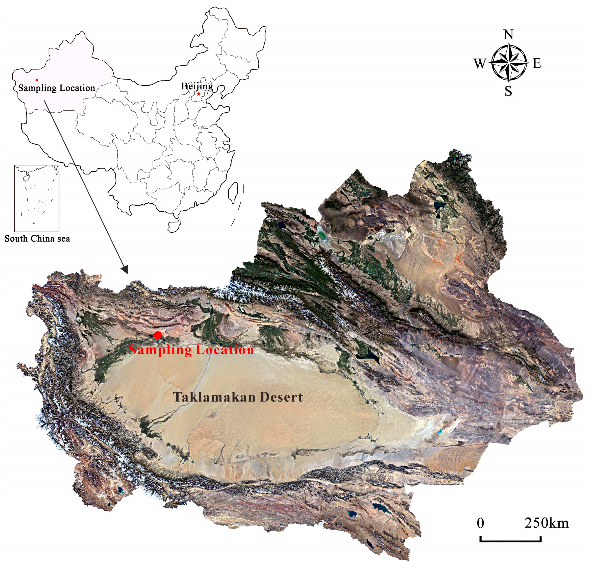 Applsci 13 07035 g001