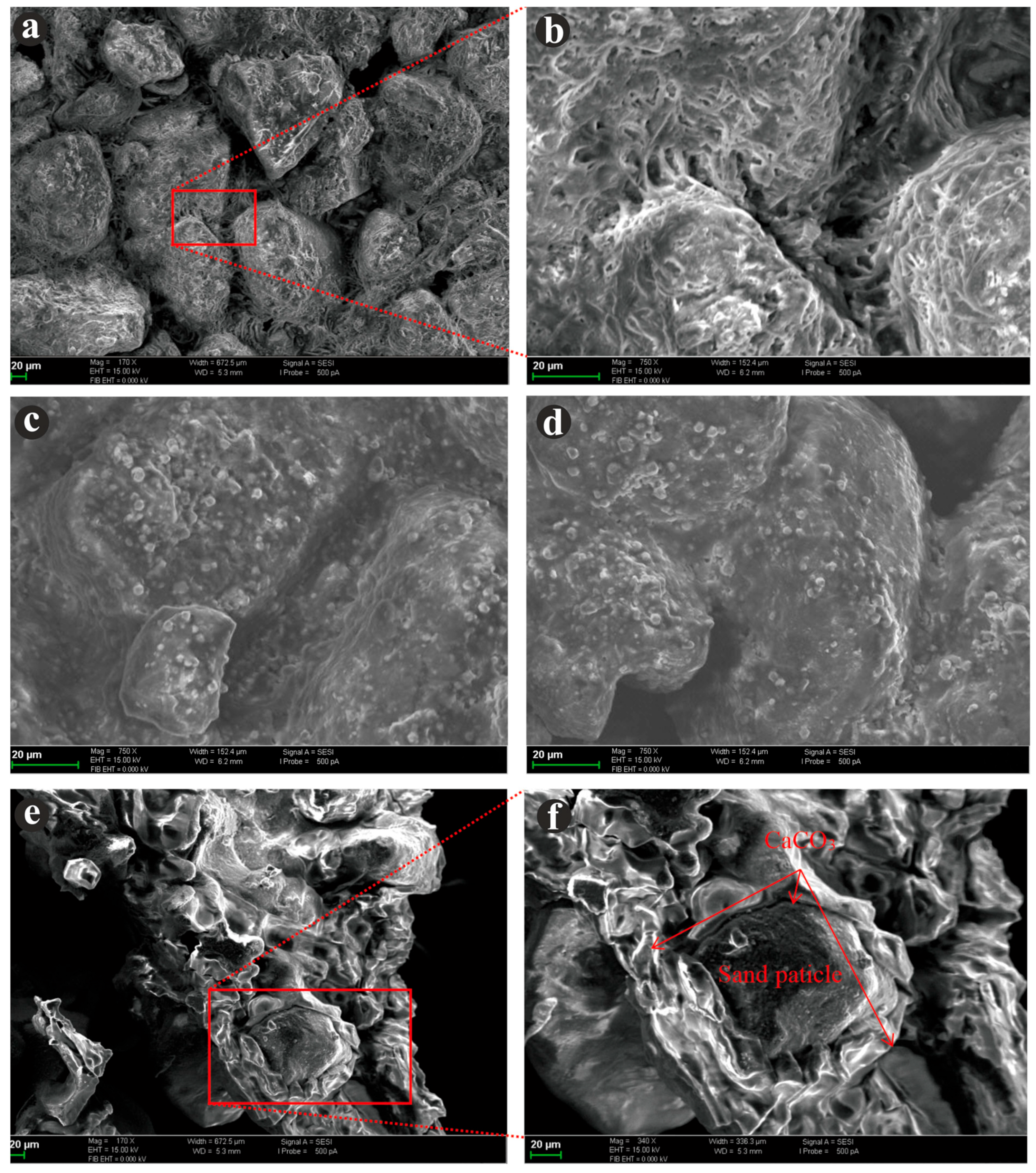 Applsci 13 07035 g009