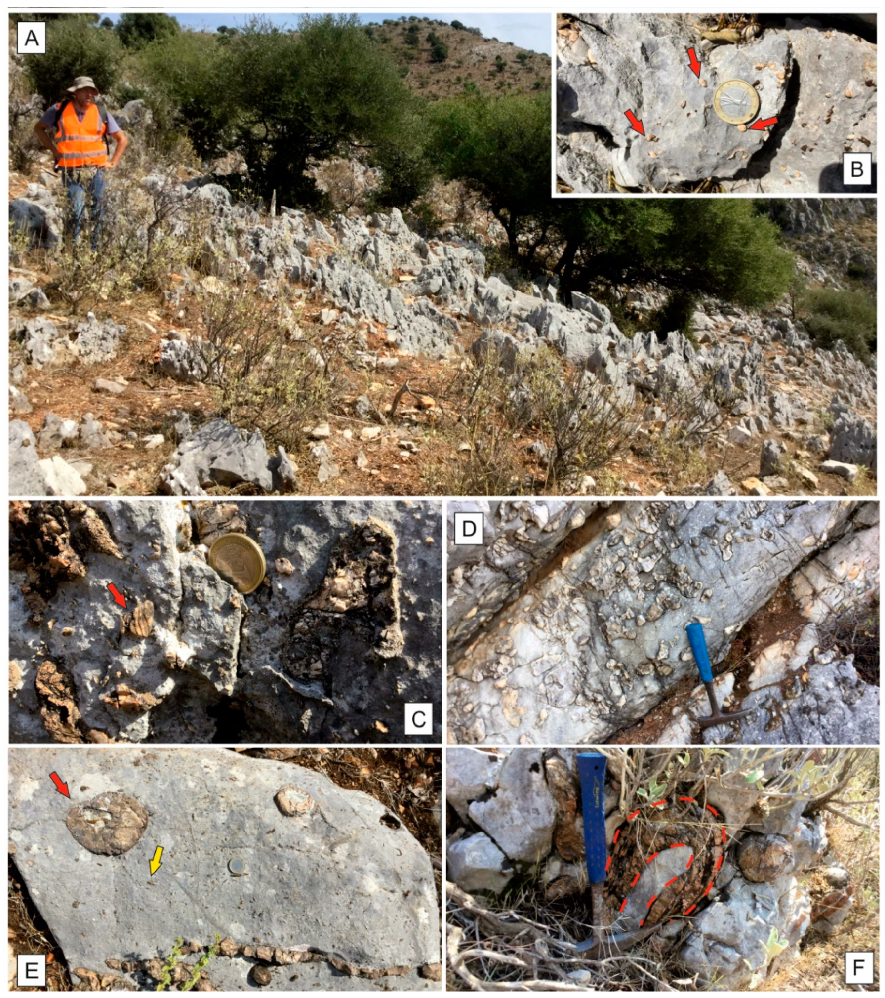 Applsci 13 07043 g006 Applsci 13 07043 g006