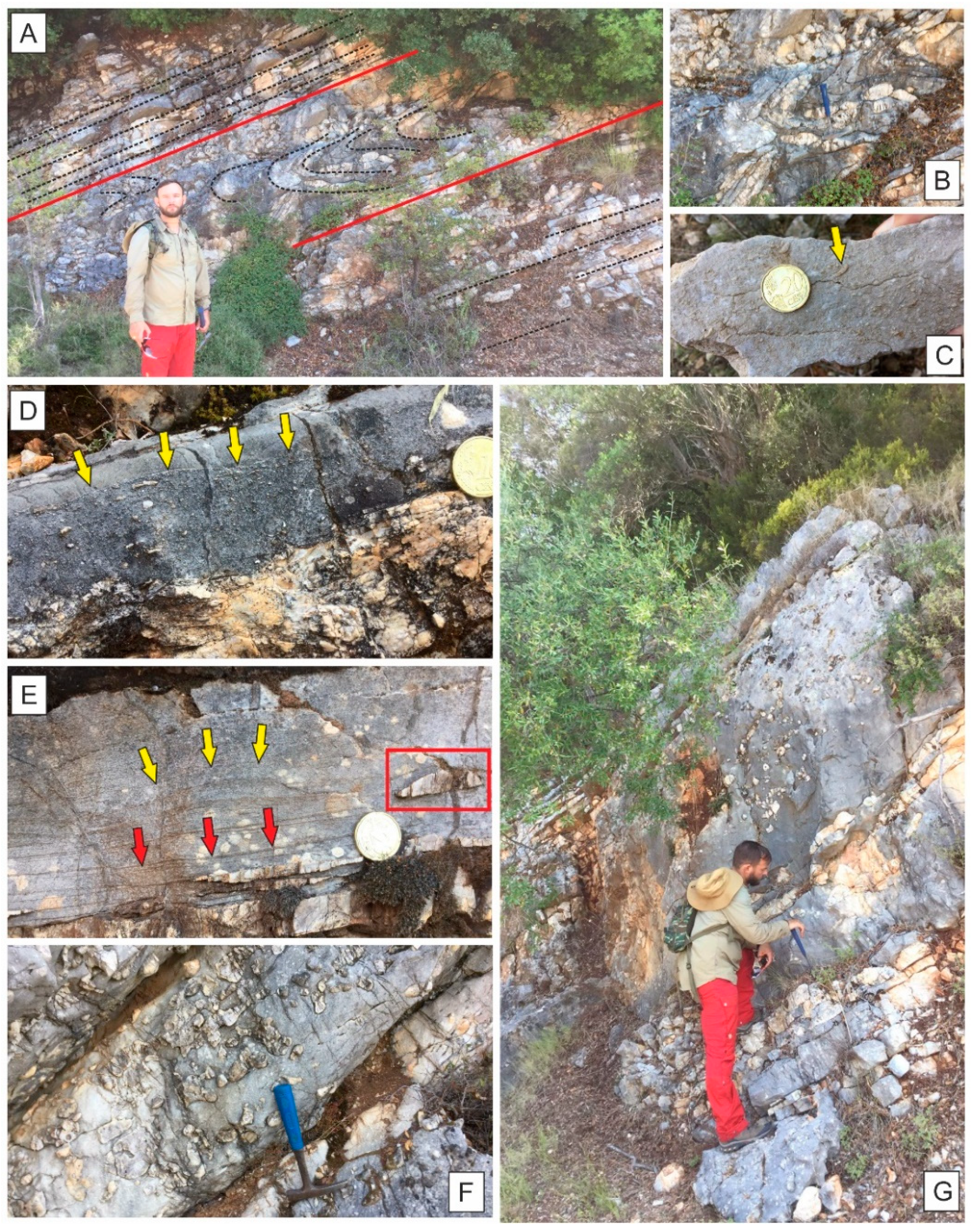 Applsci 13 07043 g007 Applsci 13 07043 g007