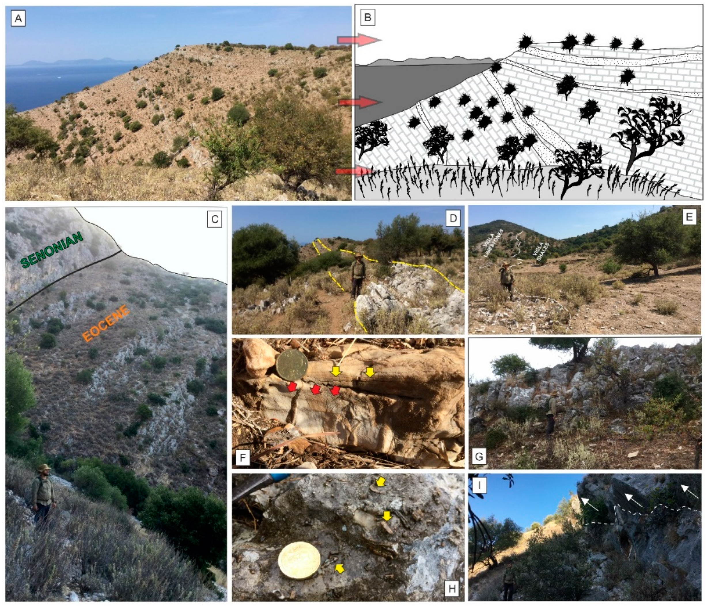 Applsci 13 07043 g008 Applsci 13 07043 g008