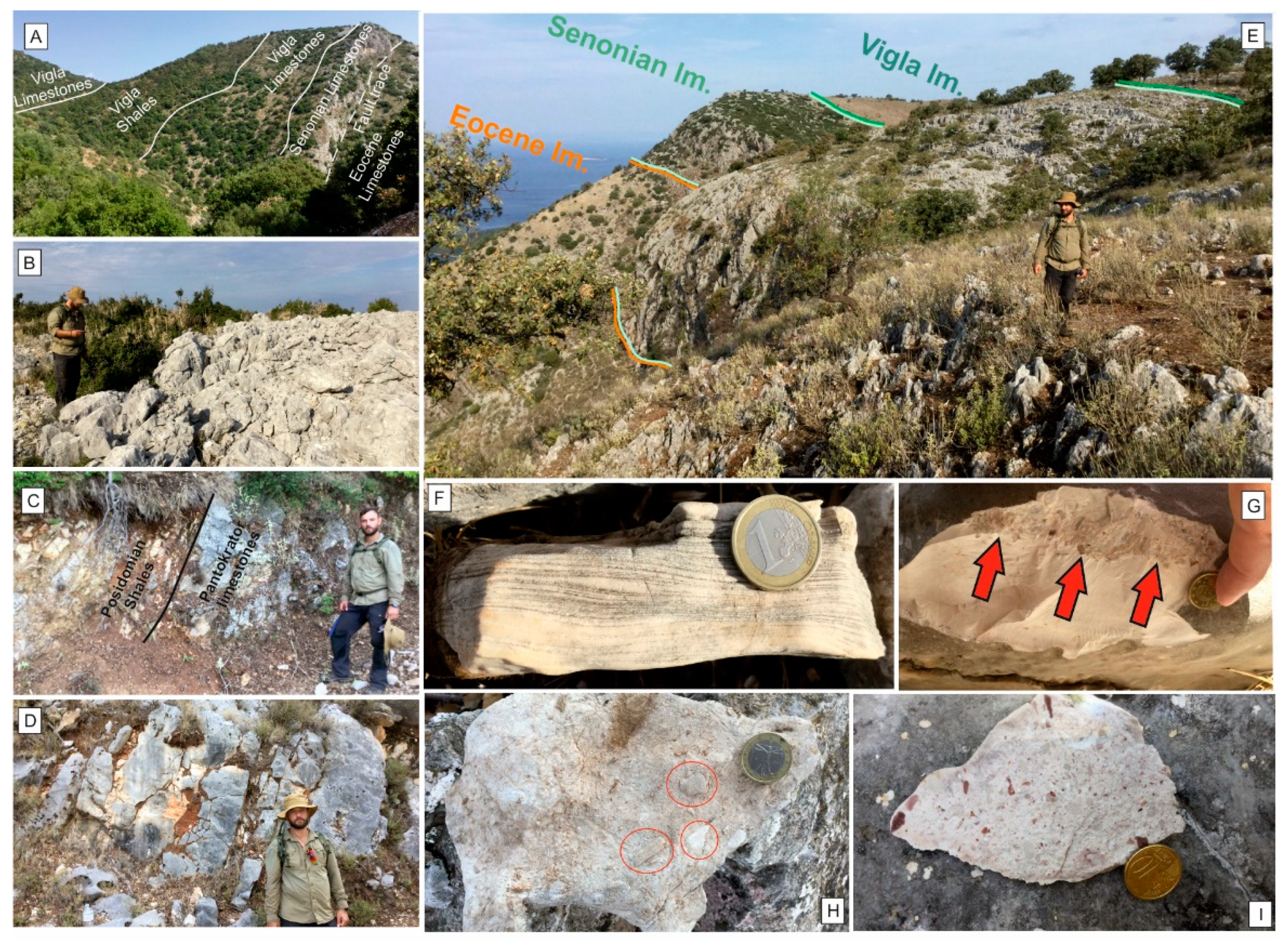 Applsci 13 07043 g009 Applsci 13 07043 g009