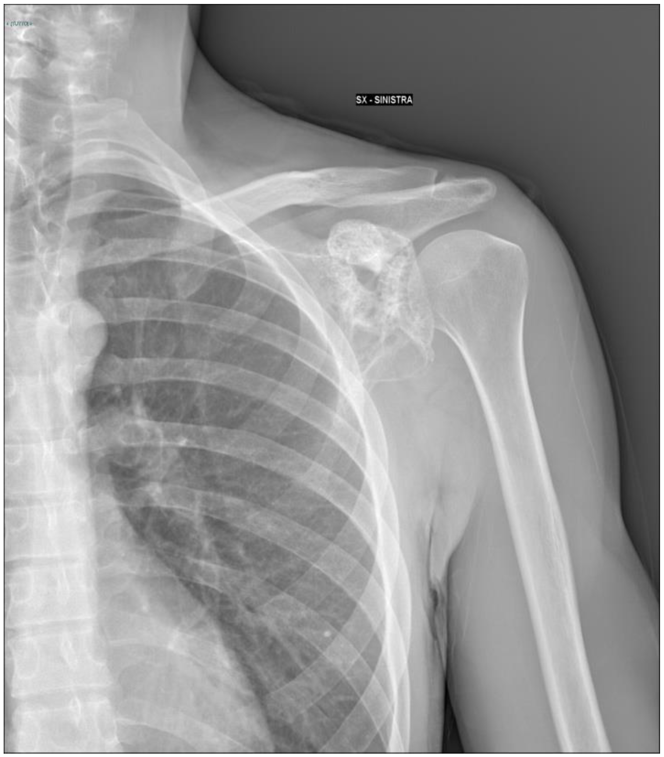 Applsci 13 07056 g001 Applsci 13 07056 g001