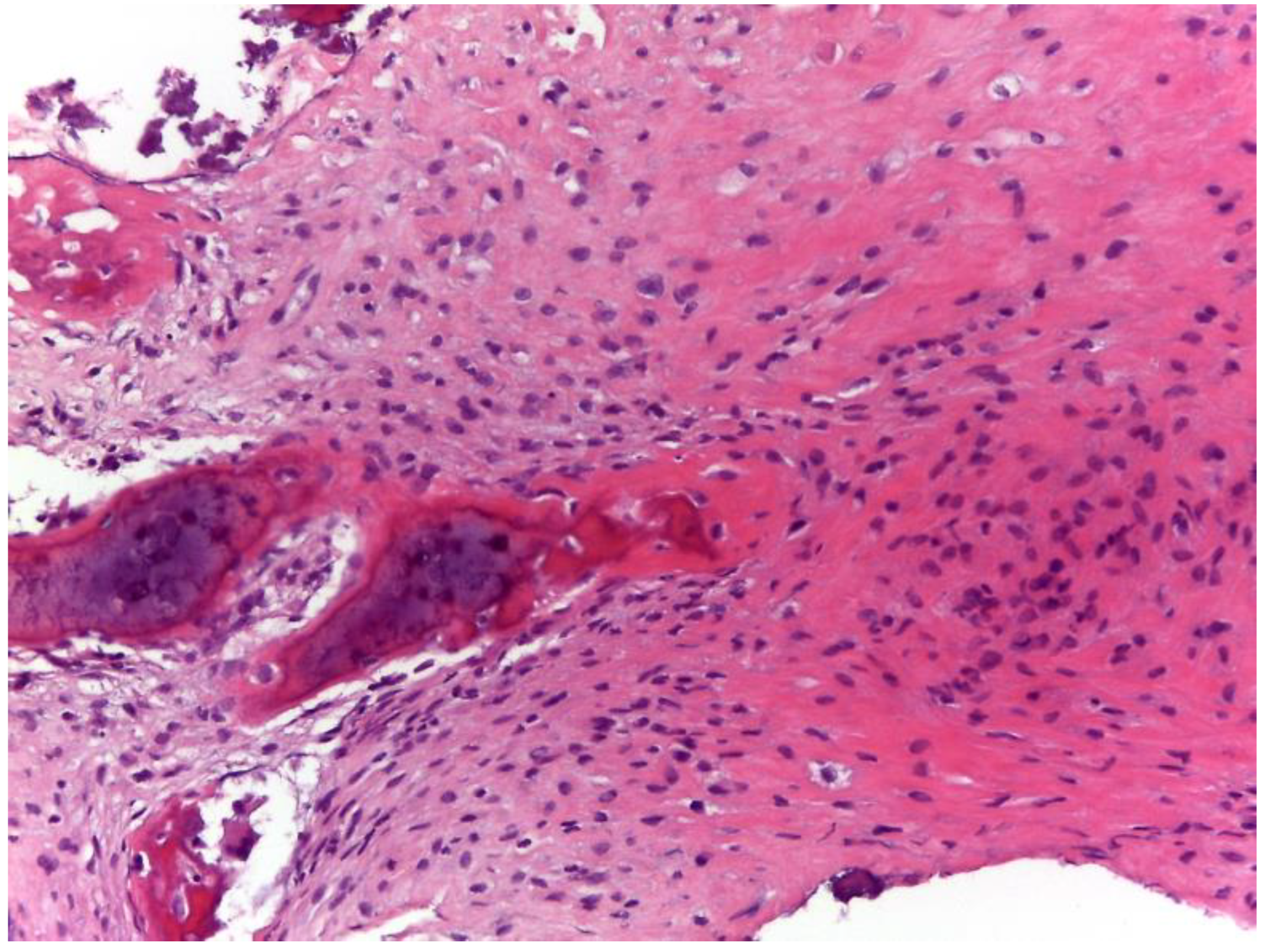 Applsci 13 07056 g003 Applsci 13 07056 g003