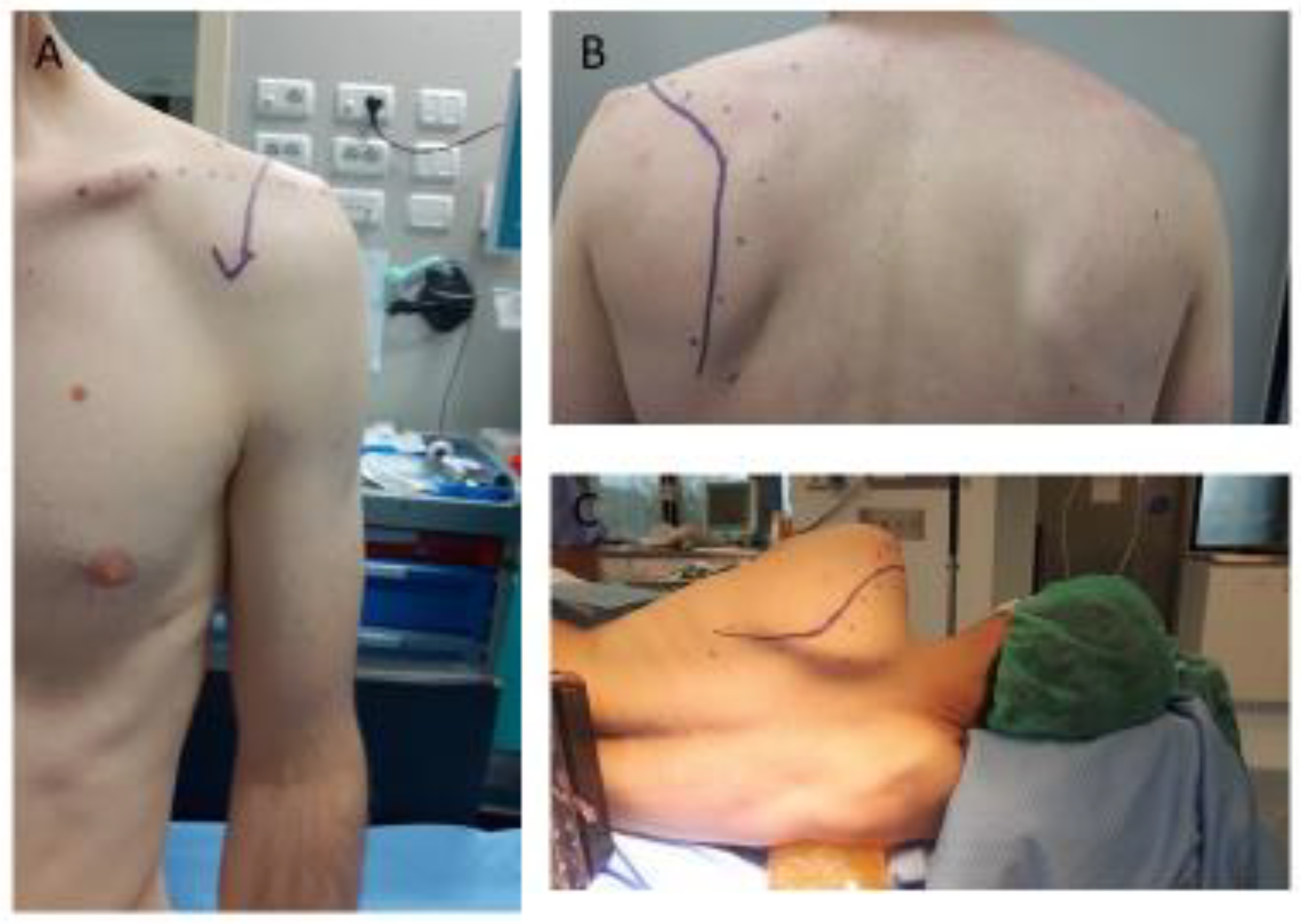 Applsci 13 07056 g005 Applsci 13 07056 g005