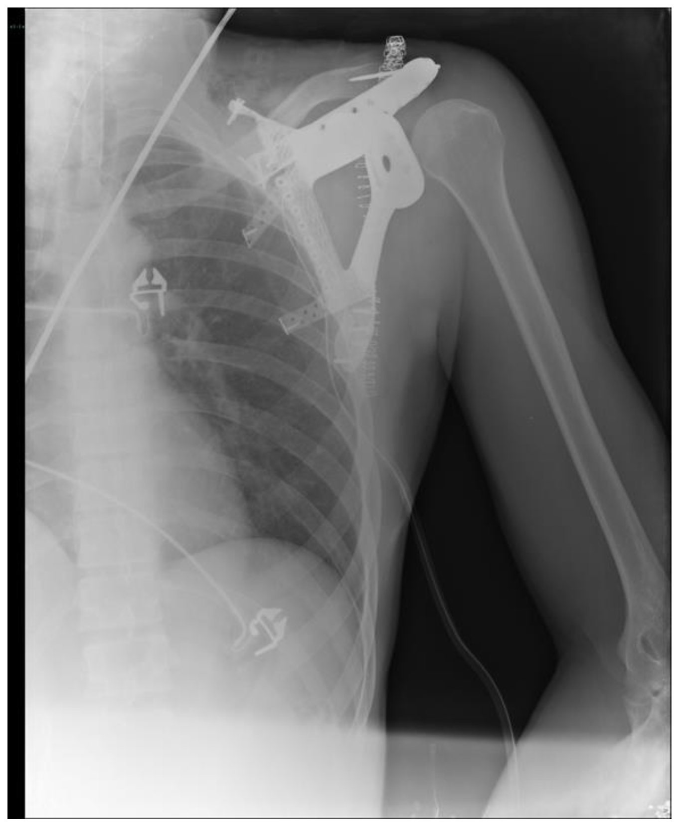 Applsci 13 07056 g008 Applsci 13 07056 g008