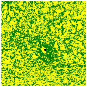 Applsci 13 07057 i001