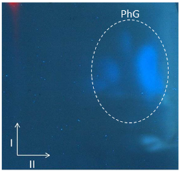 Applsci 13 07075 i001 Applsci 13 07075 i001