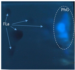 Applsci 13 07075 i003 Applsci 13 07075 i003