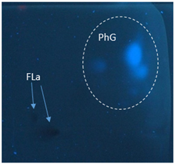 Applsci 13 07075 i004 Applsci 13 07075 i004
