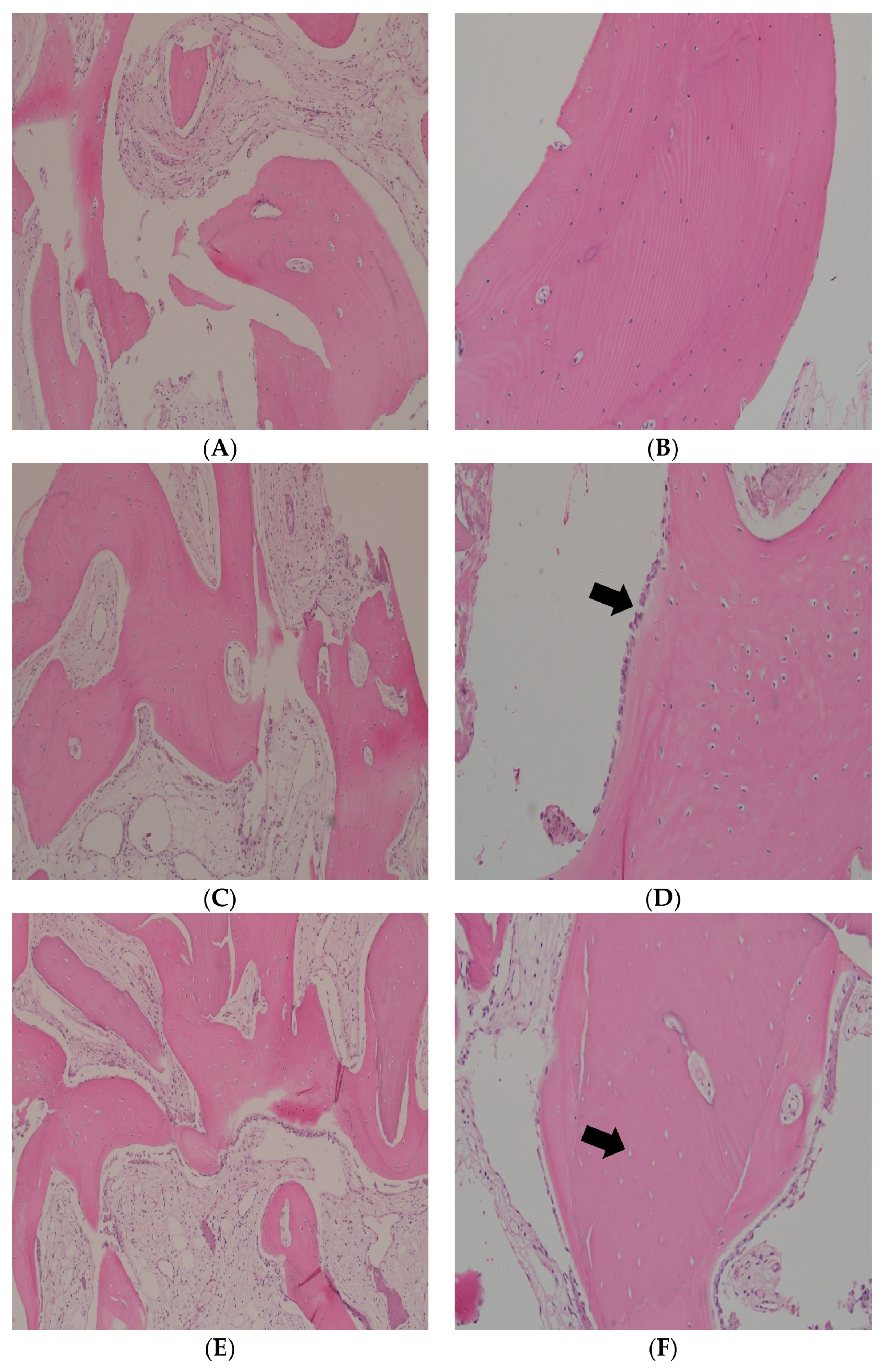 Applsci 13 07076 g004a Applsci 13 07076 g004a