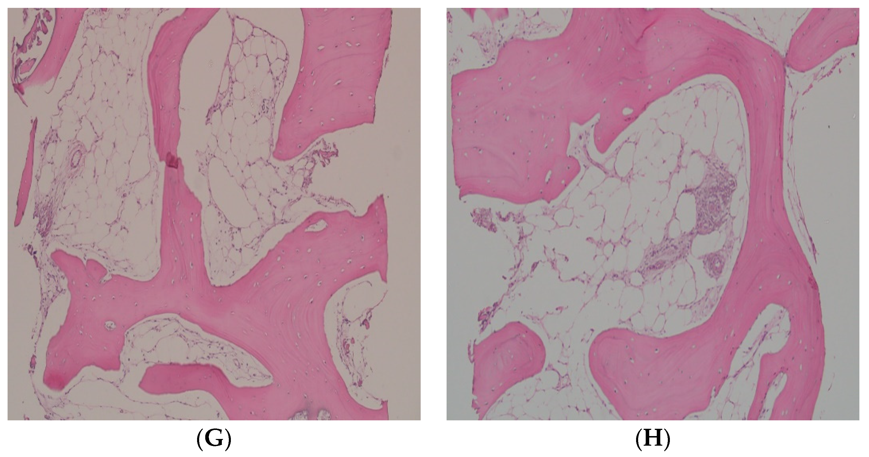 Applsci 13 07076 g004b Applsci 13 07076 g004b