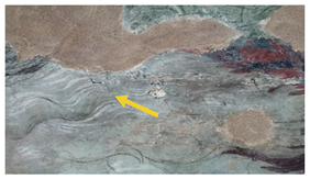 Applsci 13 07088 i001