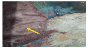 Applsci 13 07088 i009