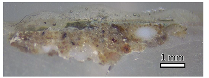 Applsci 13 07088 i014