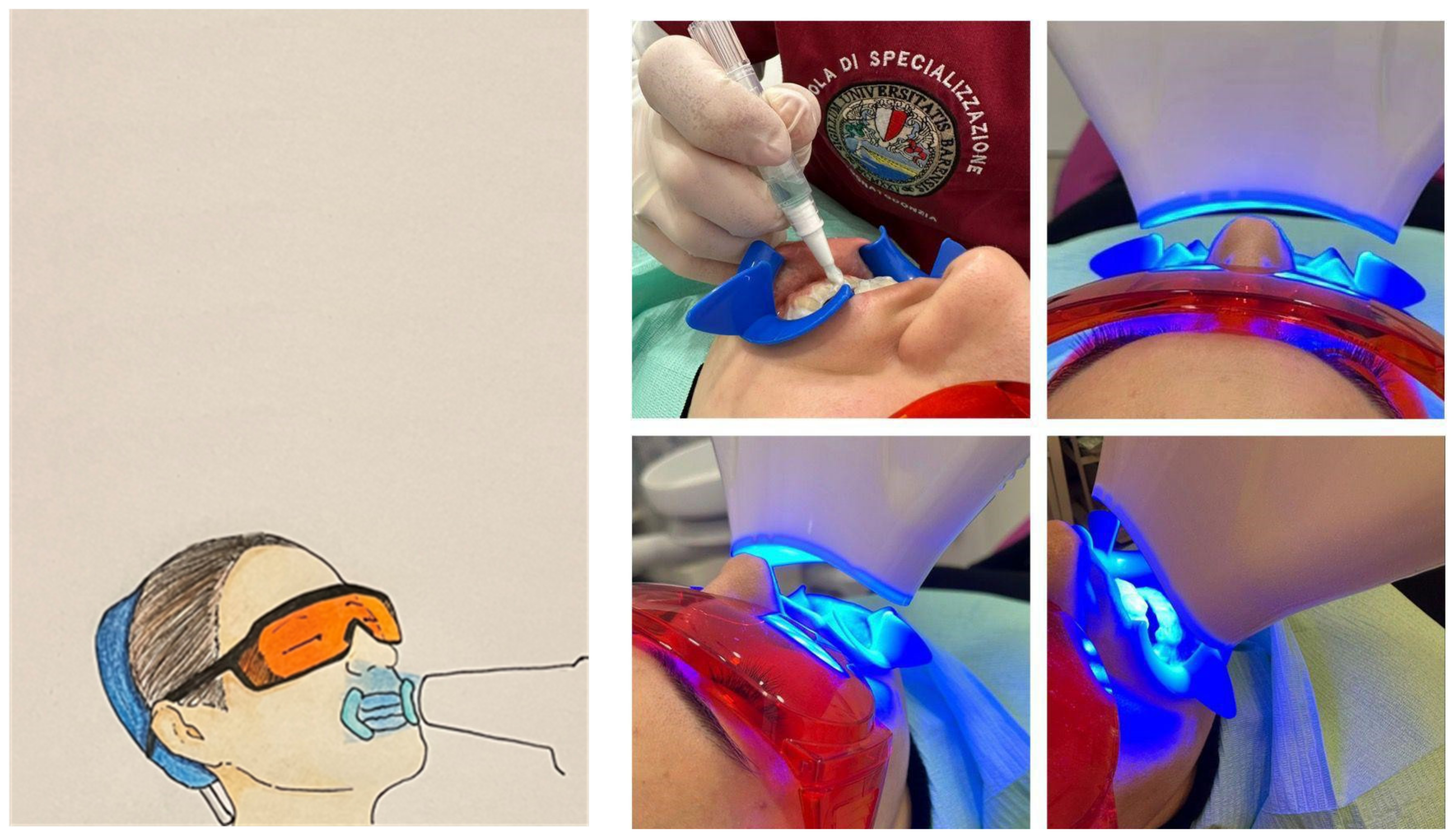 Applsci 13 07089 g002