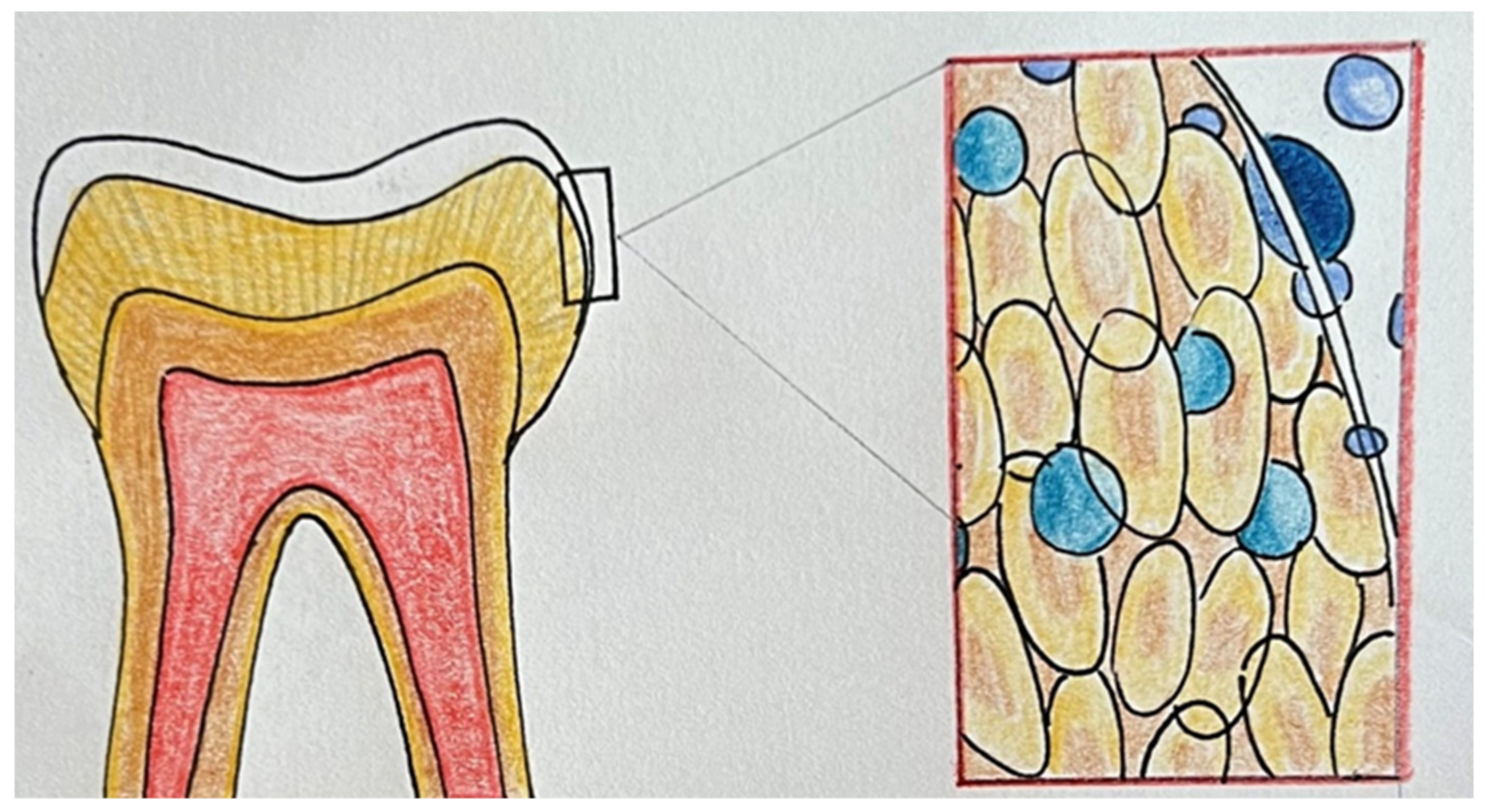 Applsci 13 07089 g003