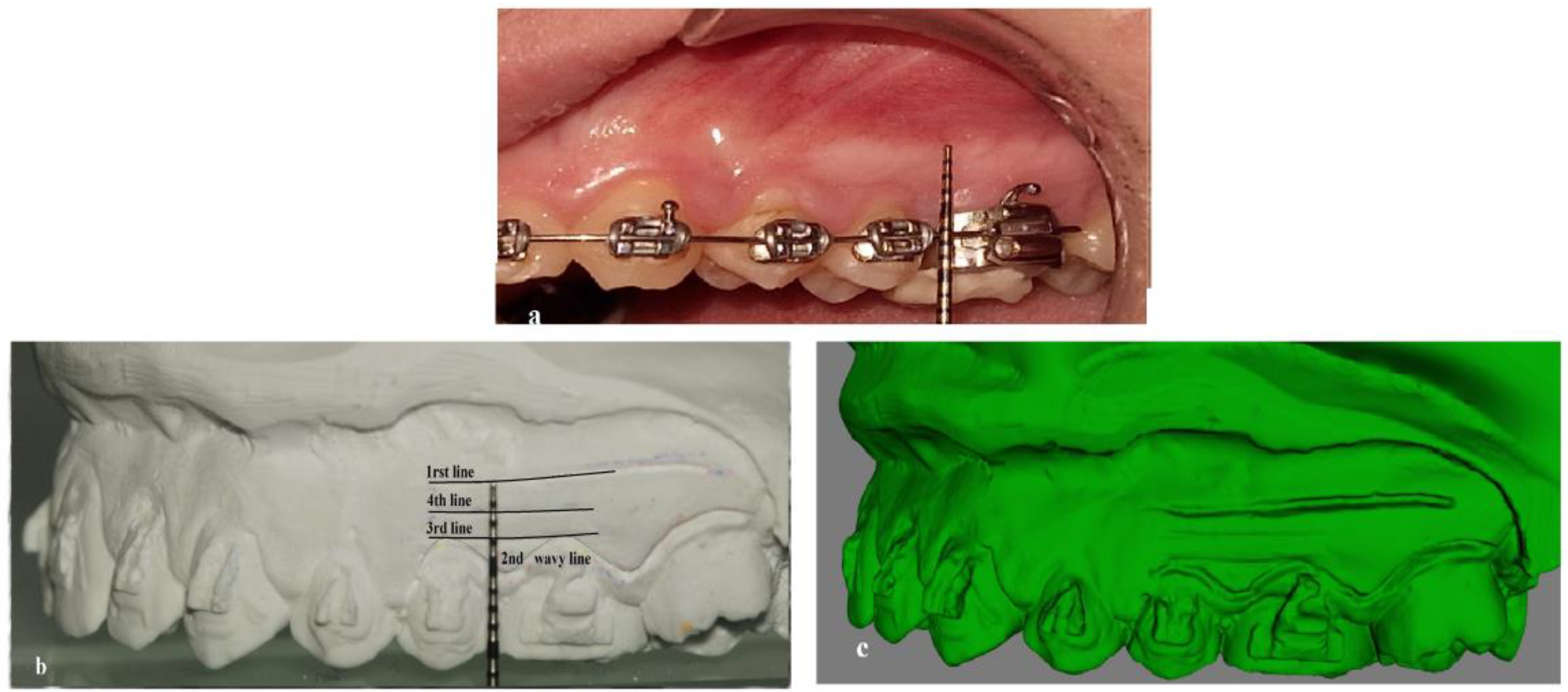 Applsci 13 07099 g001