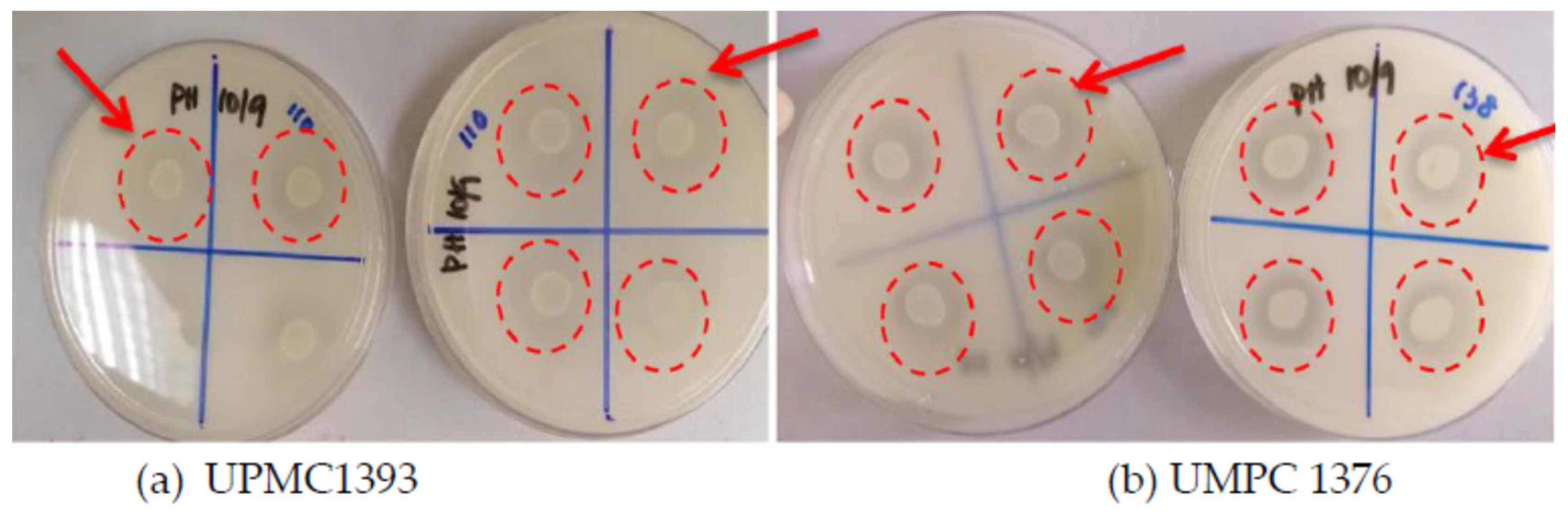Applsci 13 07105 g002