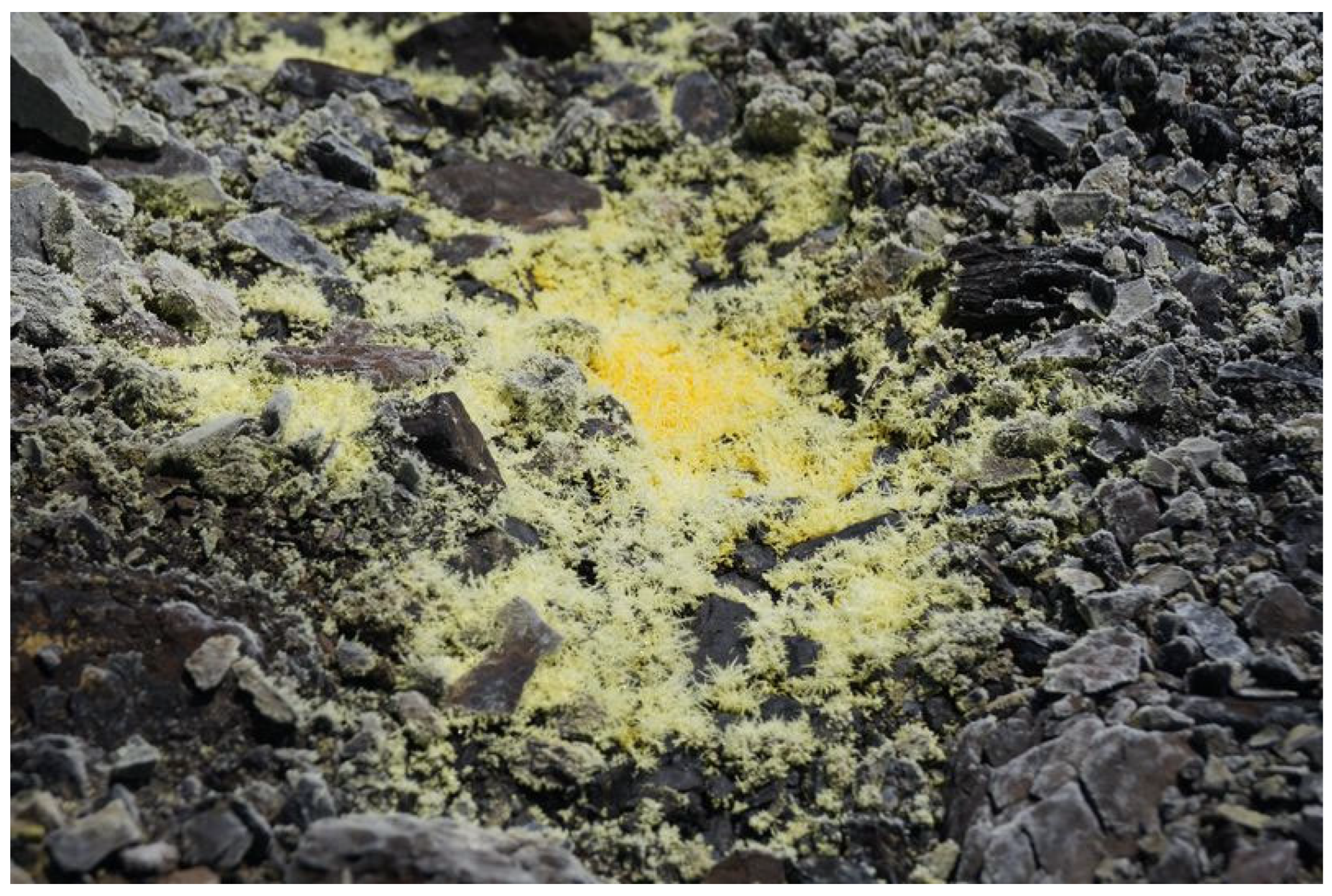 Applsci 13 07123 g001