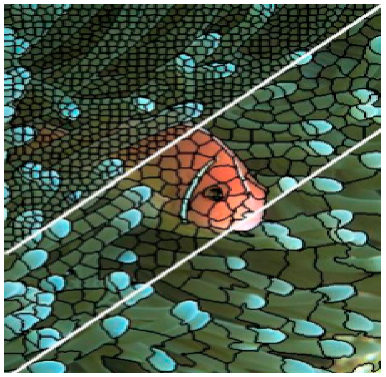 Applsci 13 07143 g004