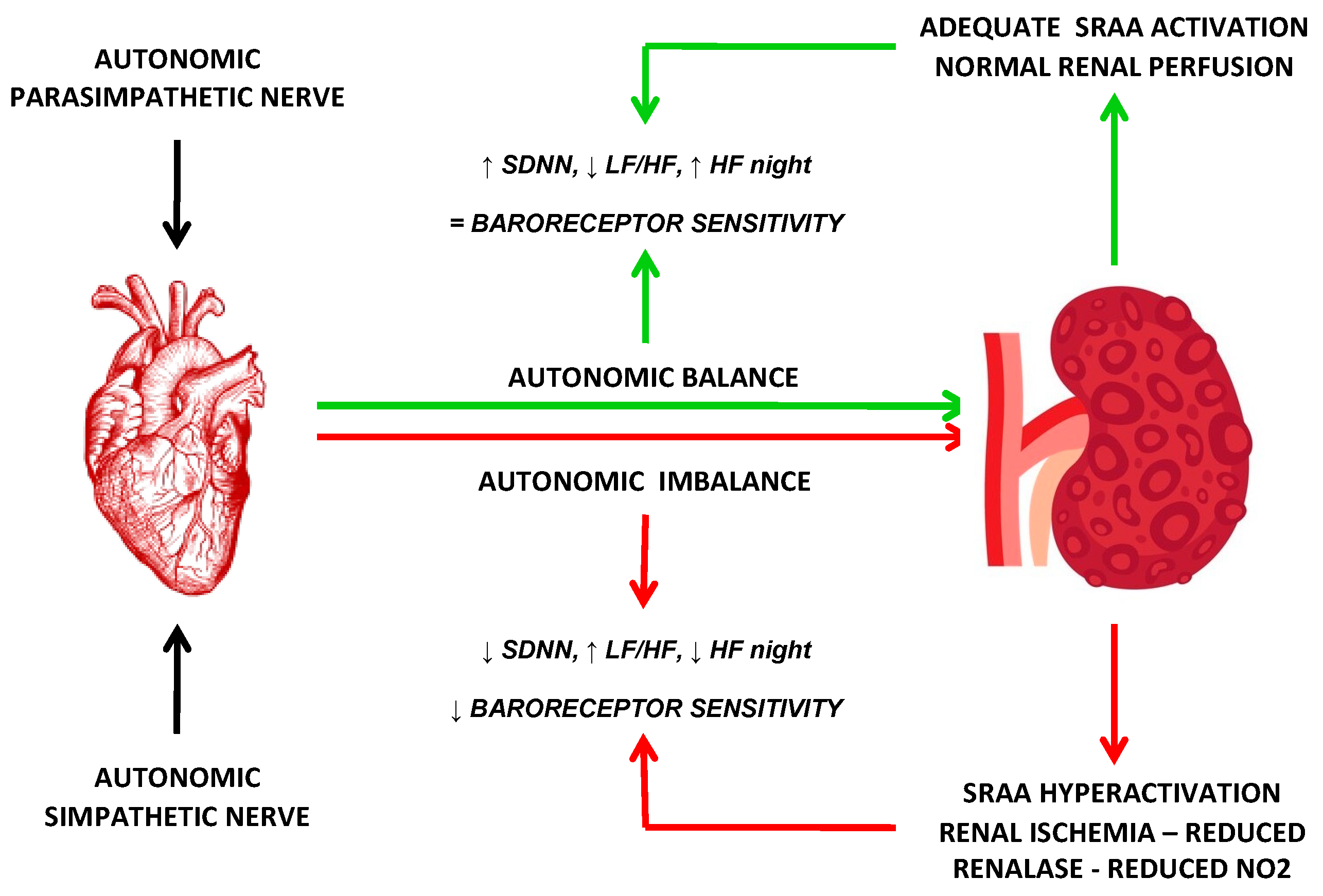 Applsci 13 07175 g002