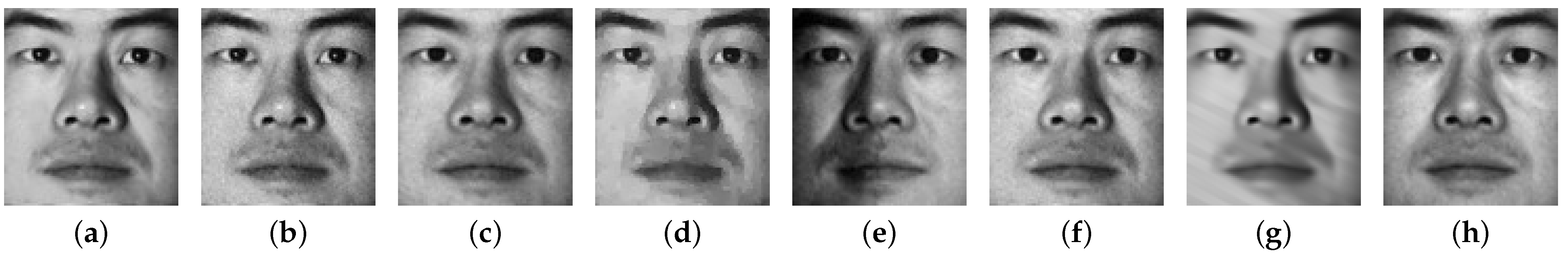 Applsci 13 07184 g015