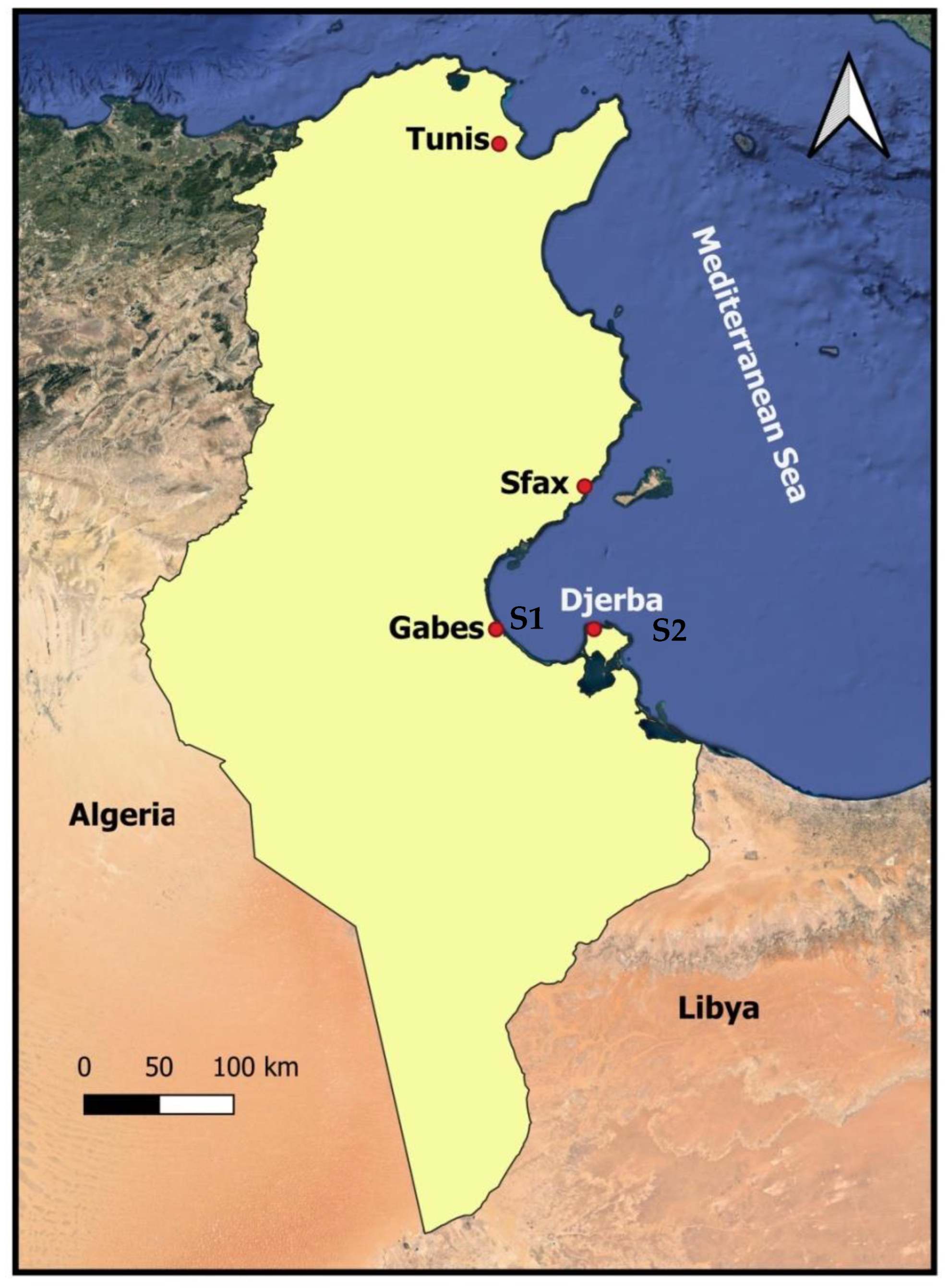 Applsci 13 07197 g001