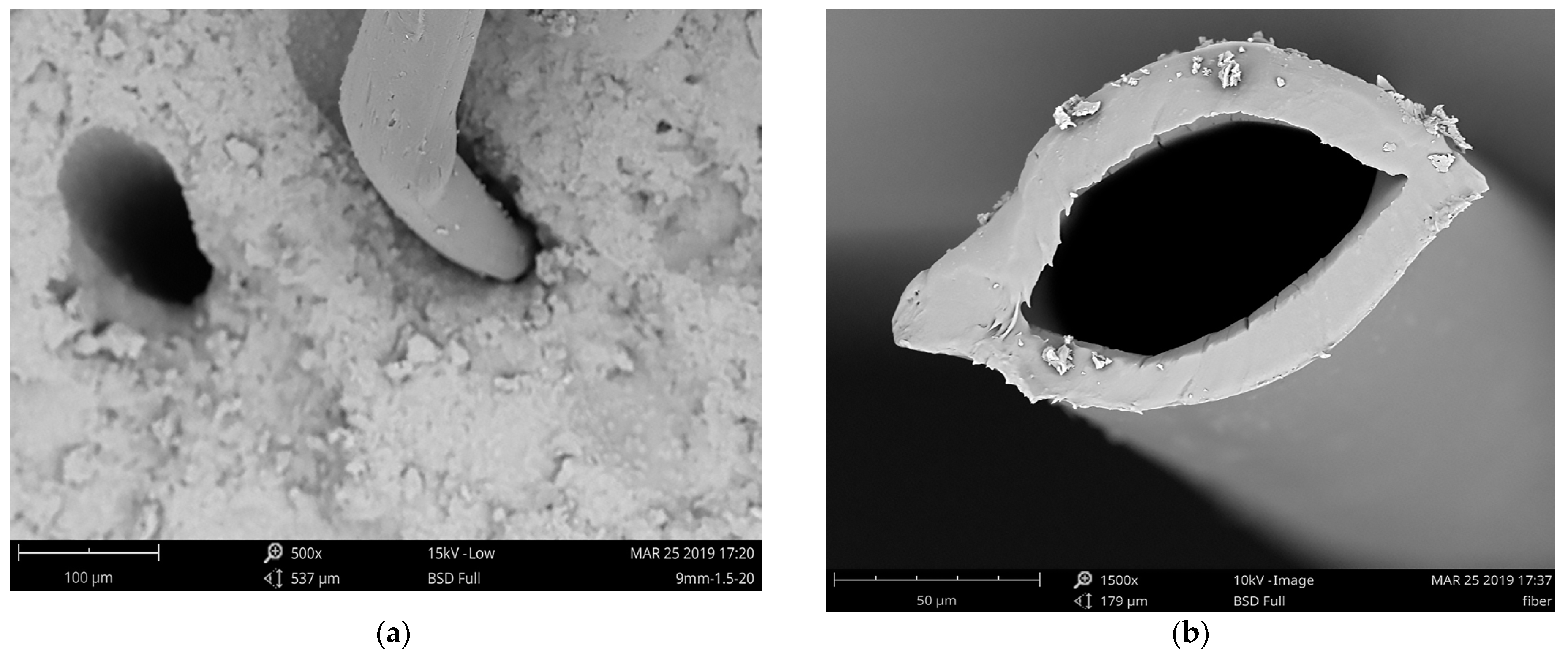 Applsci 13 07222 g001 Applsci 13 07222 g001