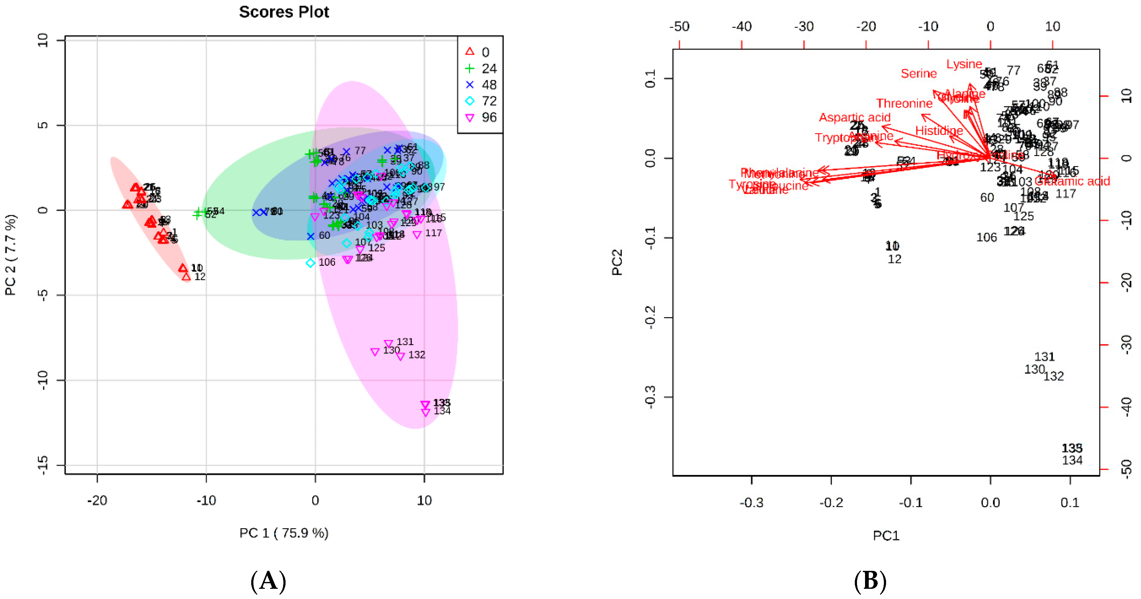Applsci 13 07257 g003