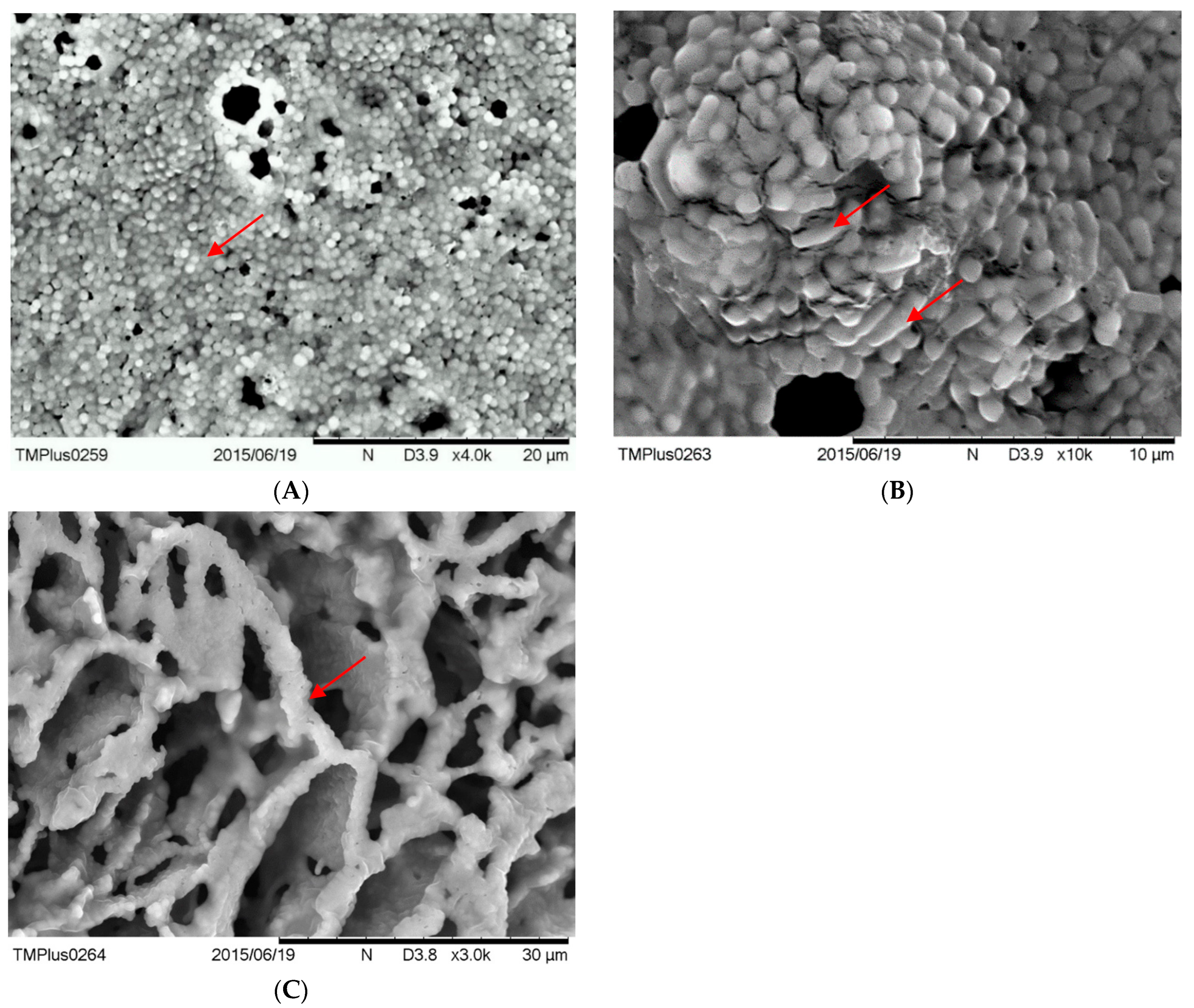 Applsci 13 07257 g004