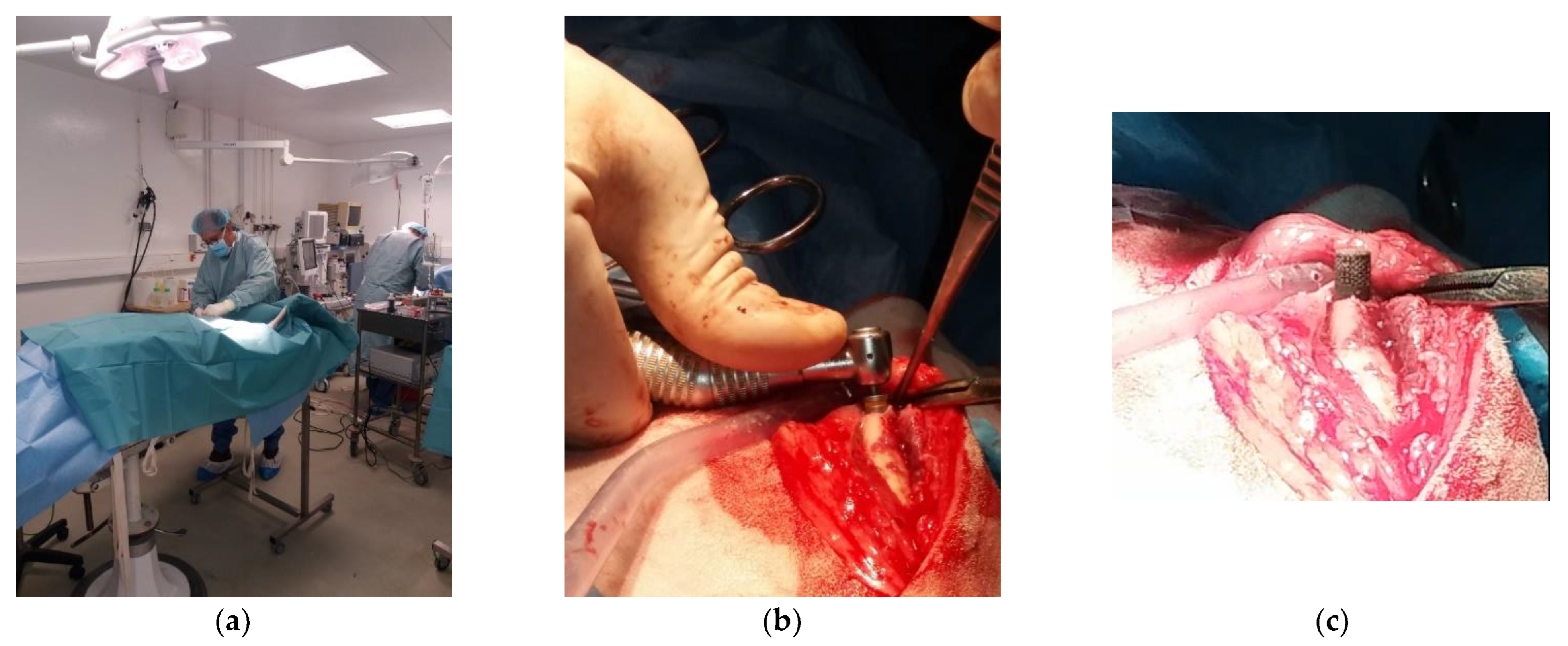 Applsci 13 07282 g003