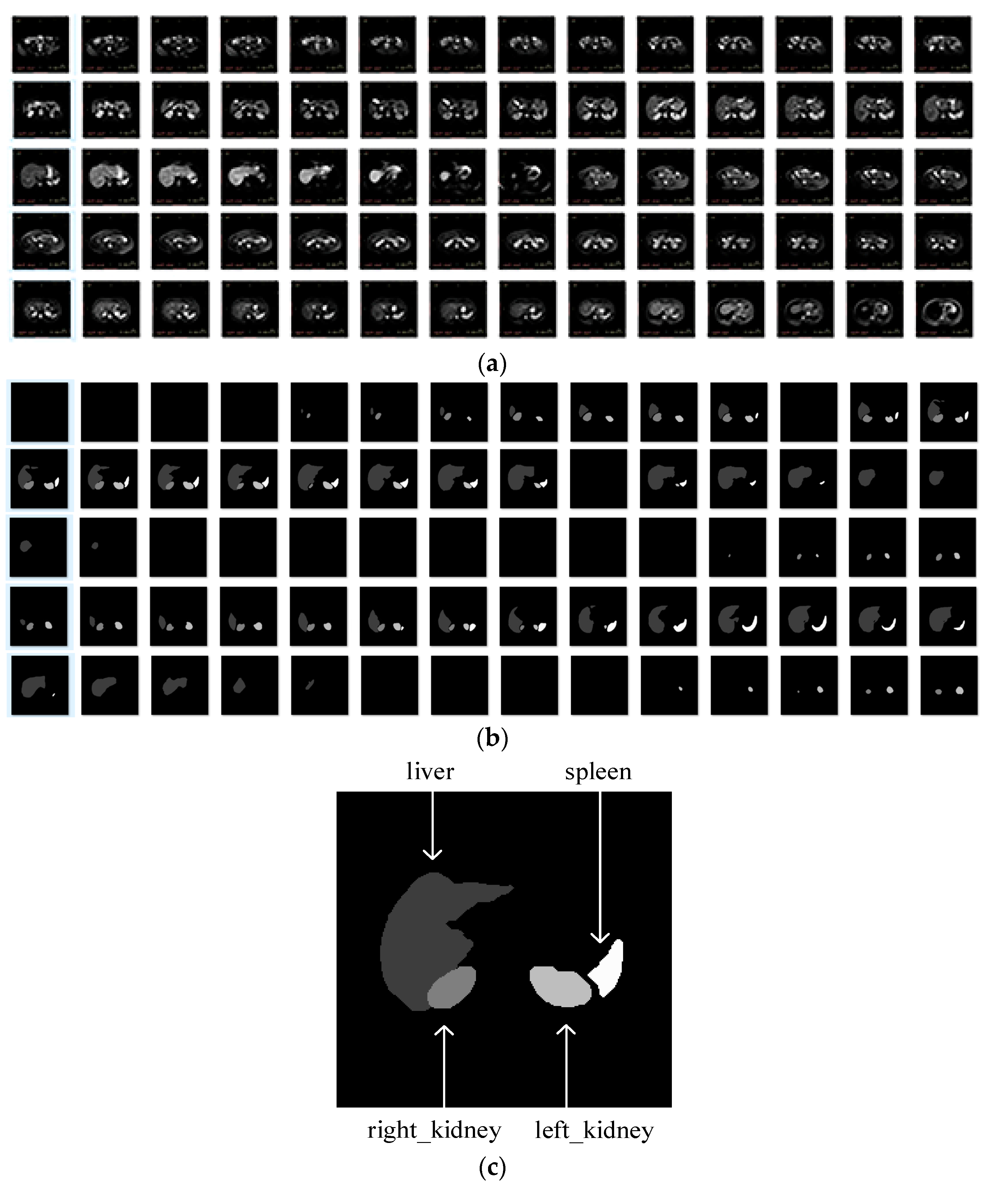 Applsci 13 07293 g001