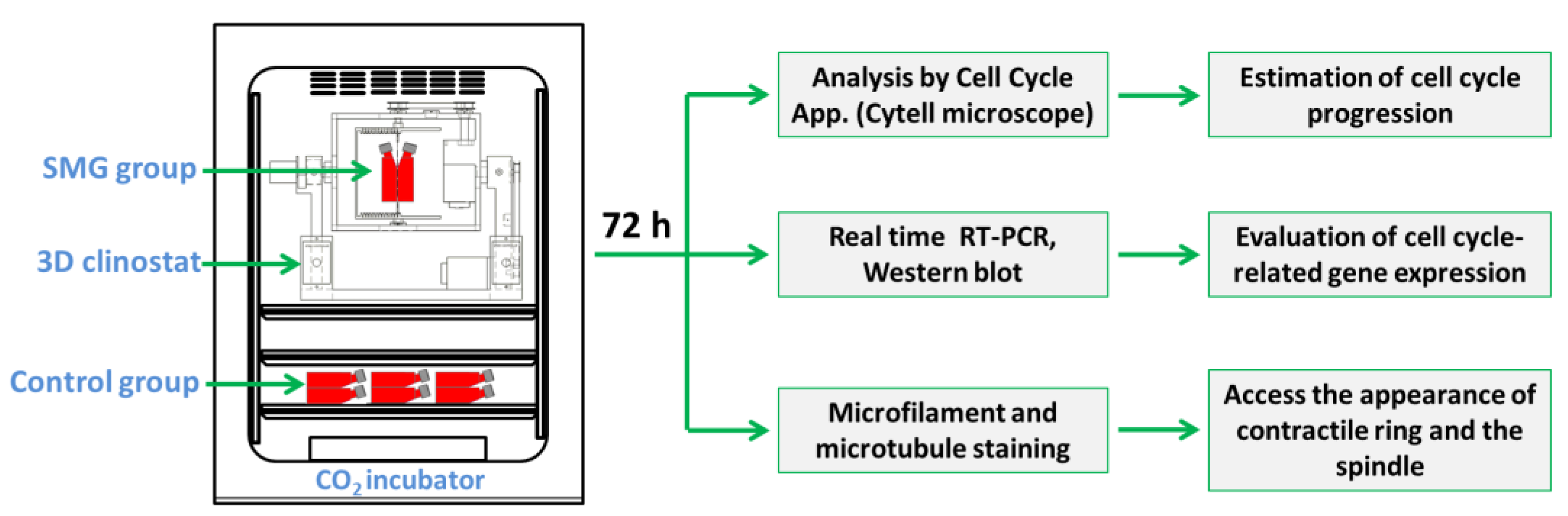 Applsci 13 07351 g001 Applsci 13 07351 g001