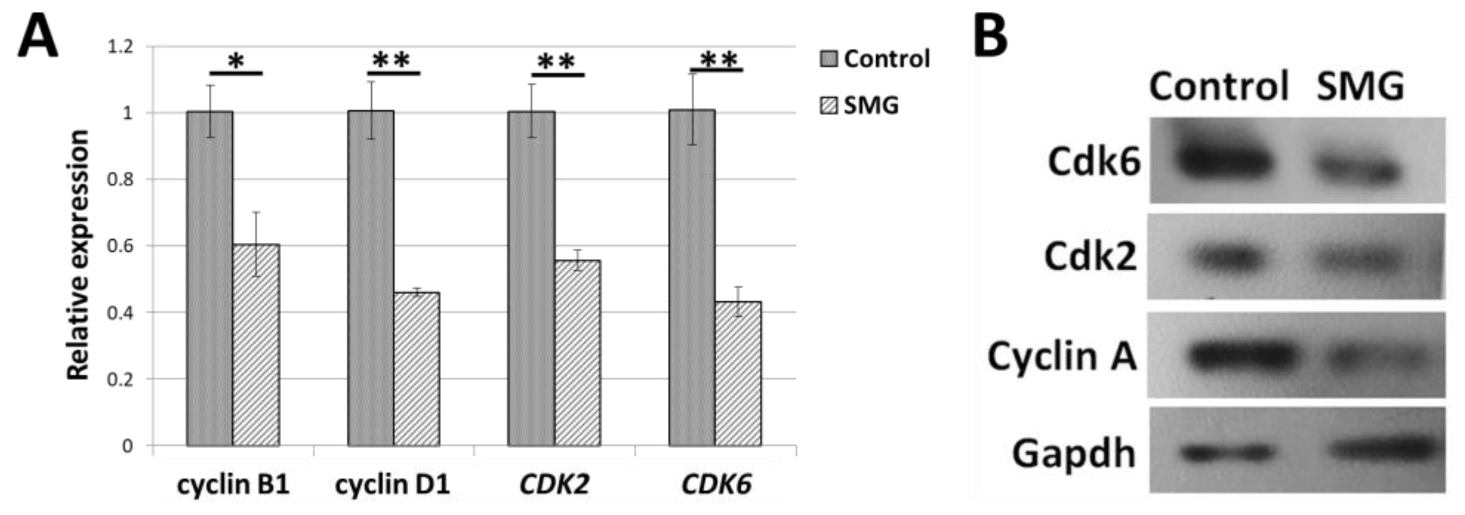 Applsci 13 07351 g004 Applsci 13 07351 g004