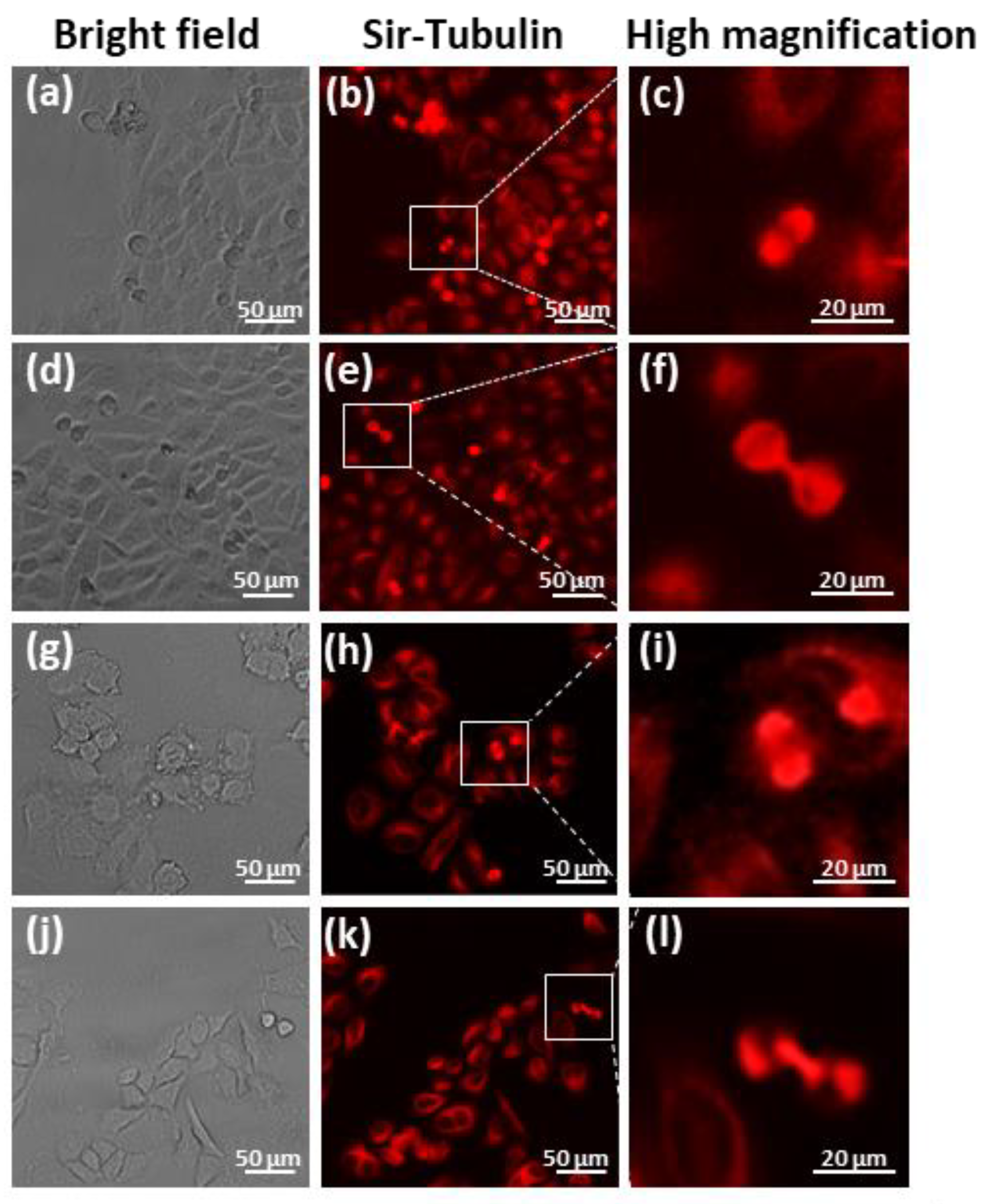 Applsci 13 07351 g006 Applsci 13 07351 g006