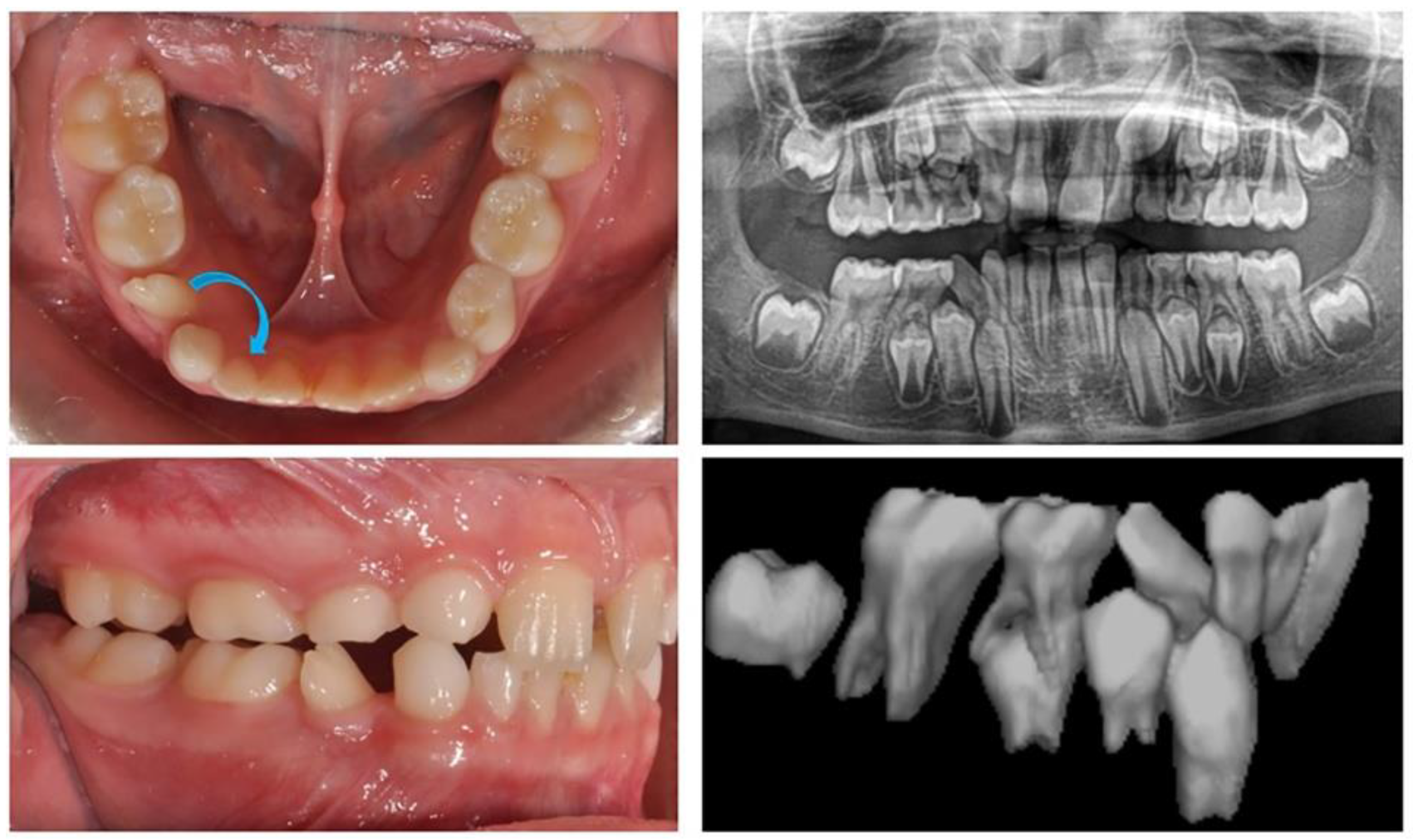 Applsci 13 07353 g001 Applsci 13 07353 g001