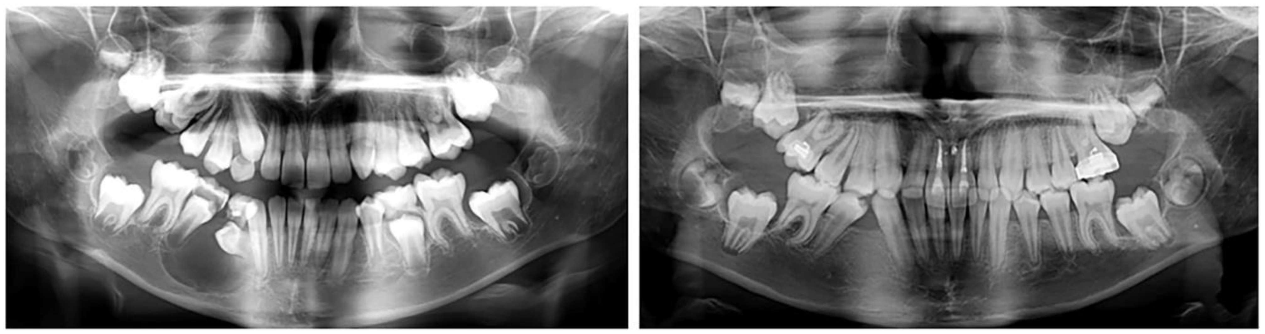 Applsci 13 07353 g005 Applsci 13 07353 g005