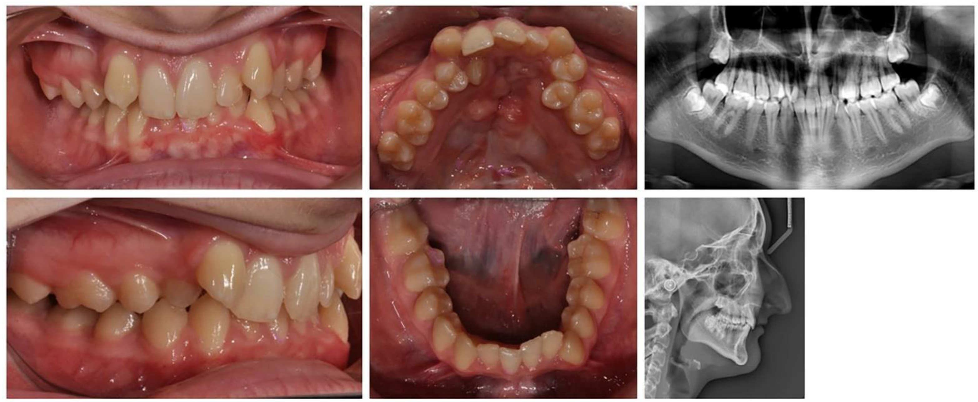 Applsci 13 07353 g006 Applsci 13 07353 g006